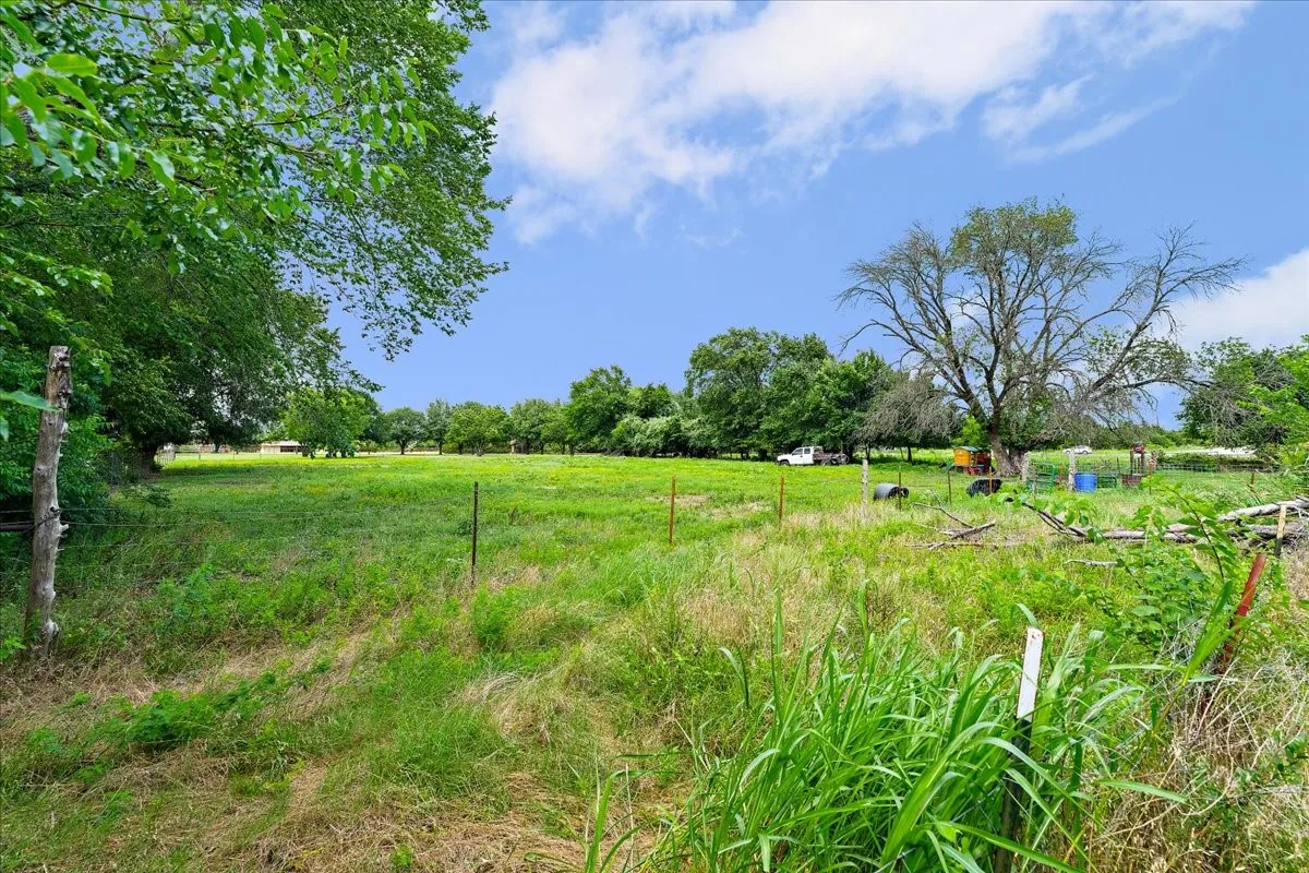 Expansive grassy field framed by mature trees, featuring a clear sky and distant foliage