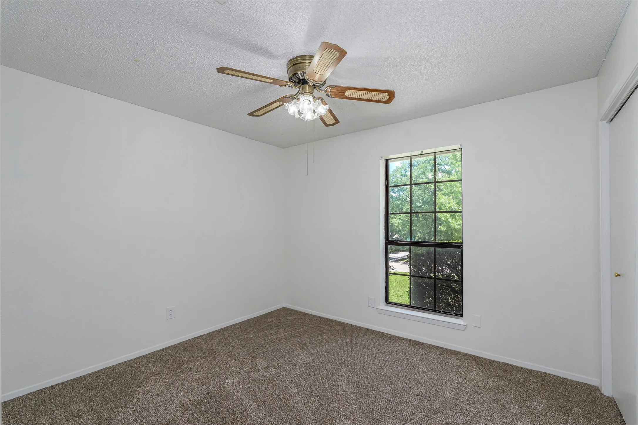 Carpeted room featuring a ceiling fan with light fixture, a window with grid patterns, and white walls