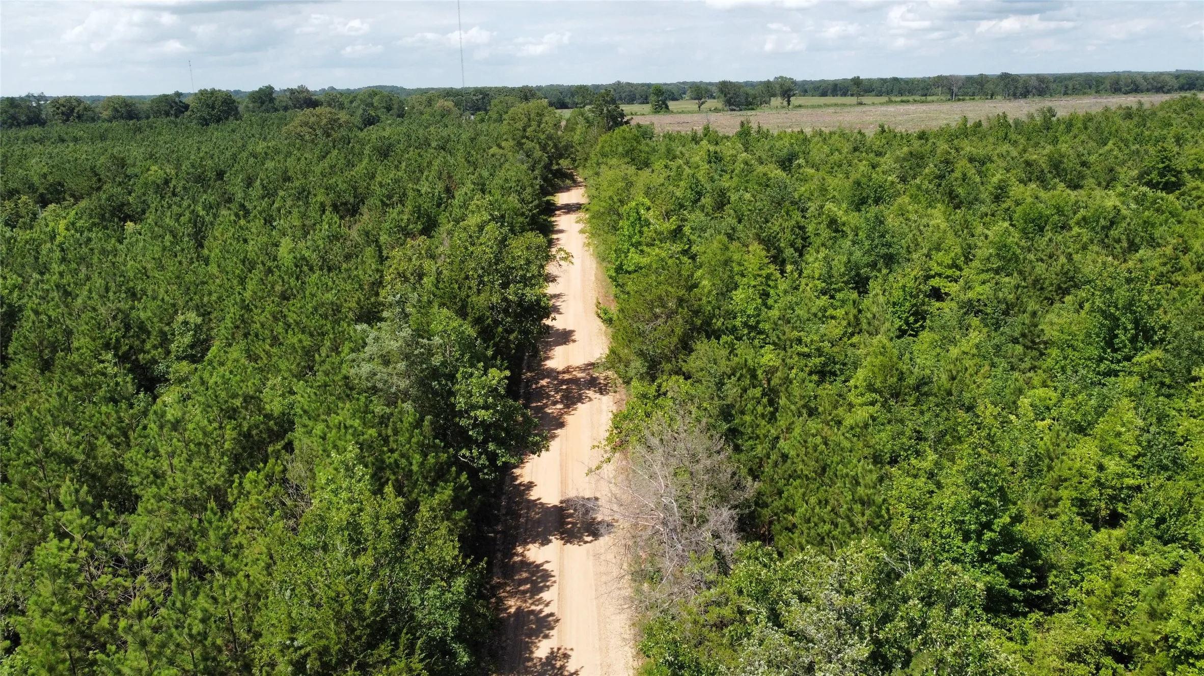 Ranch For Sale in Bowie County , Lot 3 County Road 4507, De Kalb, Texas 75559, 0, 0, Garage spaces, 0 Sqft, built in 0, Price $60,000, mls#21301377, Real Estate Agent in De Kalb, Homes For Sale in Bowie county, Homes For Sale in De Kalb, Realtor in De Kalb Texas, Real Estate Brokerage Independent Realty Texas, Luminita Cordes Realtor