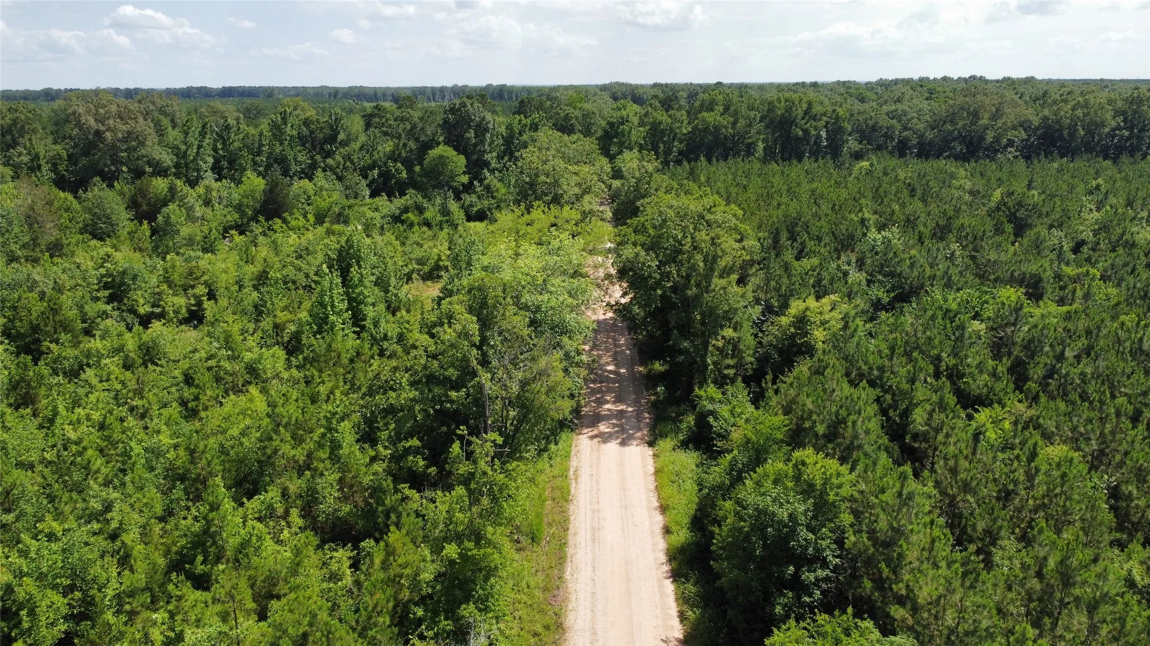 Ranch For Sale in Bowie County , Lot 3 County Road 4507, De Kalb, Texas 75559, 0, 0, Garage spaces, 0 Sqft, built in 0, Price $60,000, mls#21301377, Real Estate Agent in De Kalb, Homes For Sale in Bowie county, Homes For Sale in De Kalb, Realtor in De Kalb Texas, Real Estate Brokerage Independent Realty Texas, Luminita Cordes Realtor