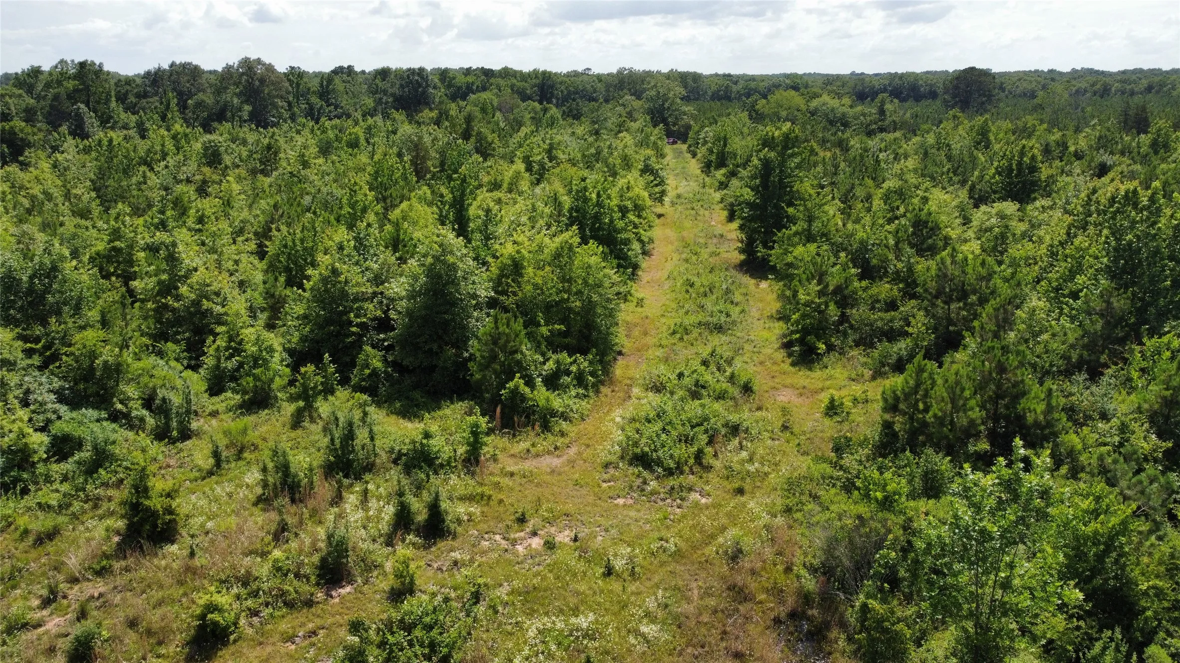 Ranch For Sale in Bowie County , Lot 3 County Road 4507, De Kalb, Texas 75559, 0, 0, Garage spaces, 0 Sqft, built in 0, Price $60,000, mls#21301377, Real Estate Agent in De Kalb, Homes For Sale in Bowie county, Homes For Sale in De Kalb, Realtor in De Kalb Texas, Real Estate Brokerage Independent Realty Texas, Luminita Cordes Realtor