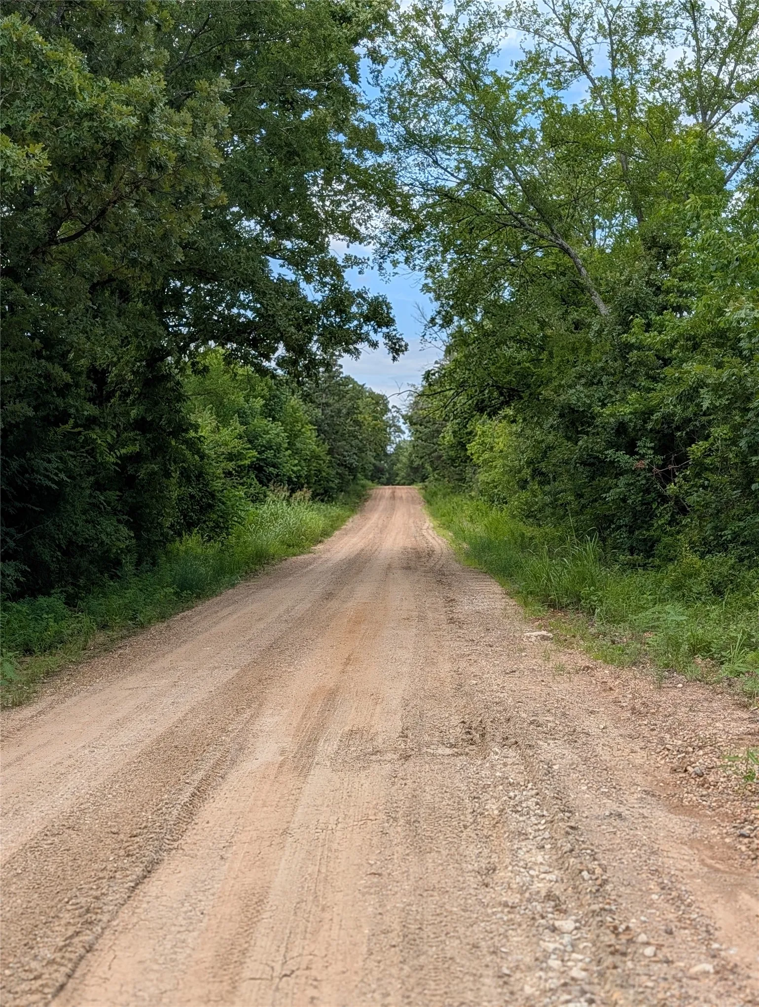 Ranch For Sale in Bowie County , Lot 3 County Road 4507, De Kalb, Texas 75559, 0, 0, Garage spaces, 0 Sqft, built in 0, Price $60,000, mls#21301377, Real Estate Agent in De Kalb, Homes For Sale in Bowie county, Homes For Sale in De Kalb, Realtor in De Kalb Texas, Real Estate Brokerage Independent Realty Texas, Luminita Cordes Realtor