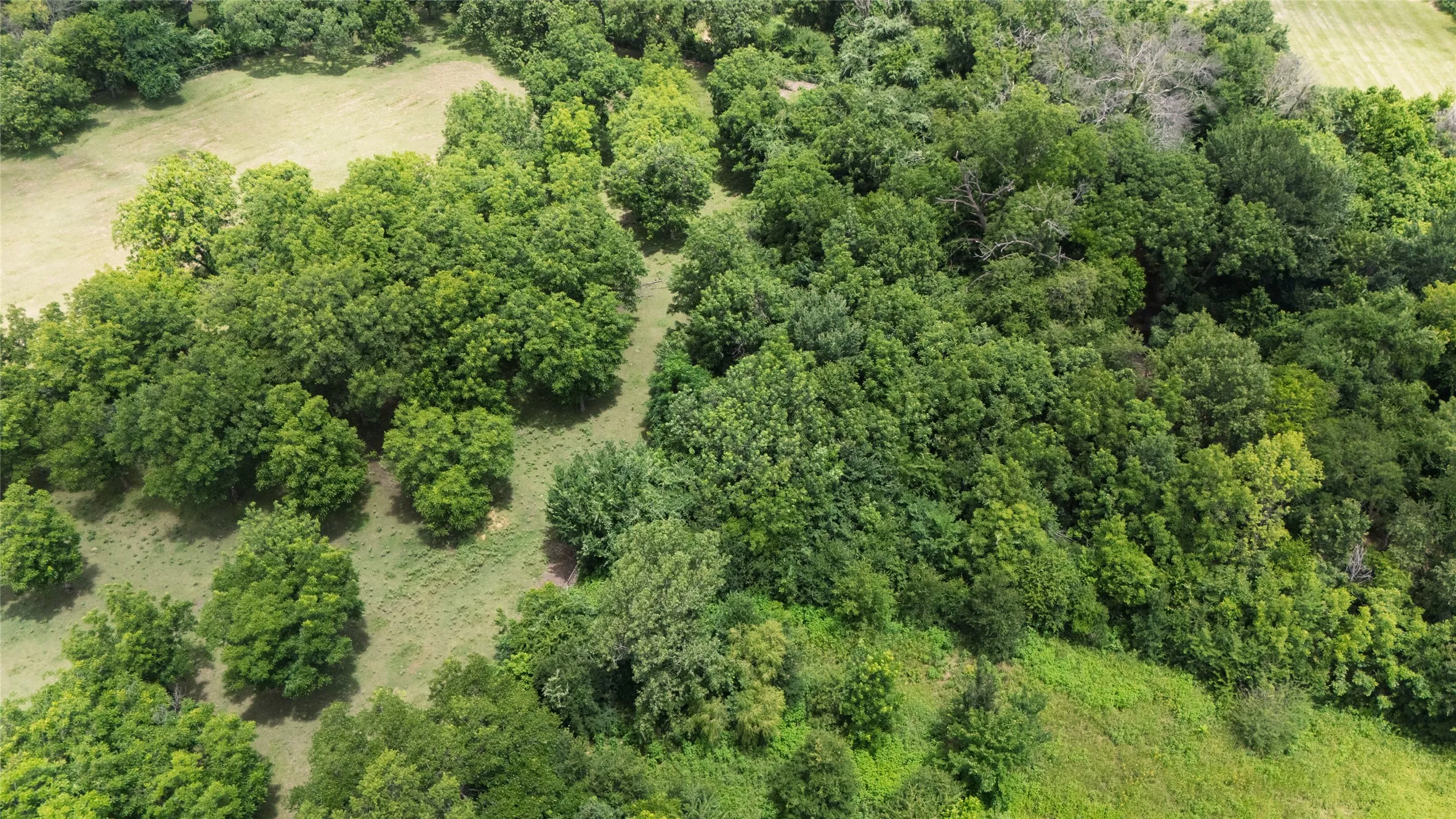 Improved Land For Sale in Tarrant County , 1215 Oakwood Trail, Southlake, Texas 76092, 0, 0, Garage spaces, 0 Sqft, built in 1980, mls#21301408, Real Estate Agent in Southlake, Homes For Sale in Tarrant county, Homes For Sale in Southlake, Realtor in Southlake Texas, Real Estate Brokerage Independent Realty Texas, Luminita Cordes Realtor