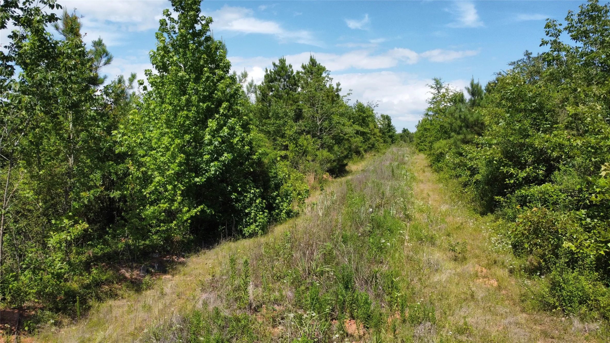 Ranch For Sale in Bowie County , TBD County Road 4507, De Kalb, Texas 75559, 0, 0, Garage spaces, 0 Sqft, built in 0, Price $165,000, mls#21301427, Real Estate Agent in De Kalb, Homes For Sale in Bowie county, Homes For Sale in De Kalb, Realtor in De Kalb Texas, Real Estate Brokerage Independent Realty Texas, Luminita Cordes Realtor