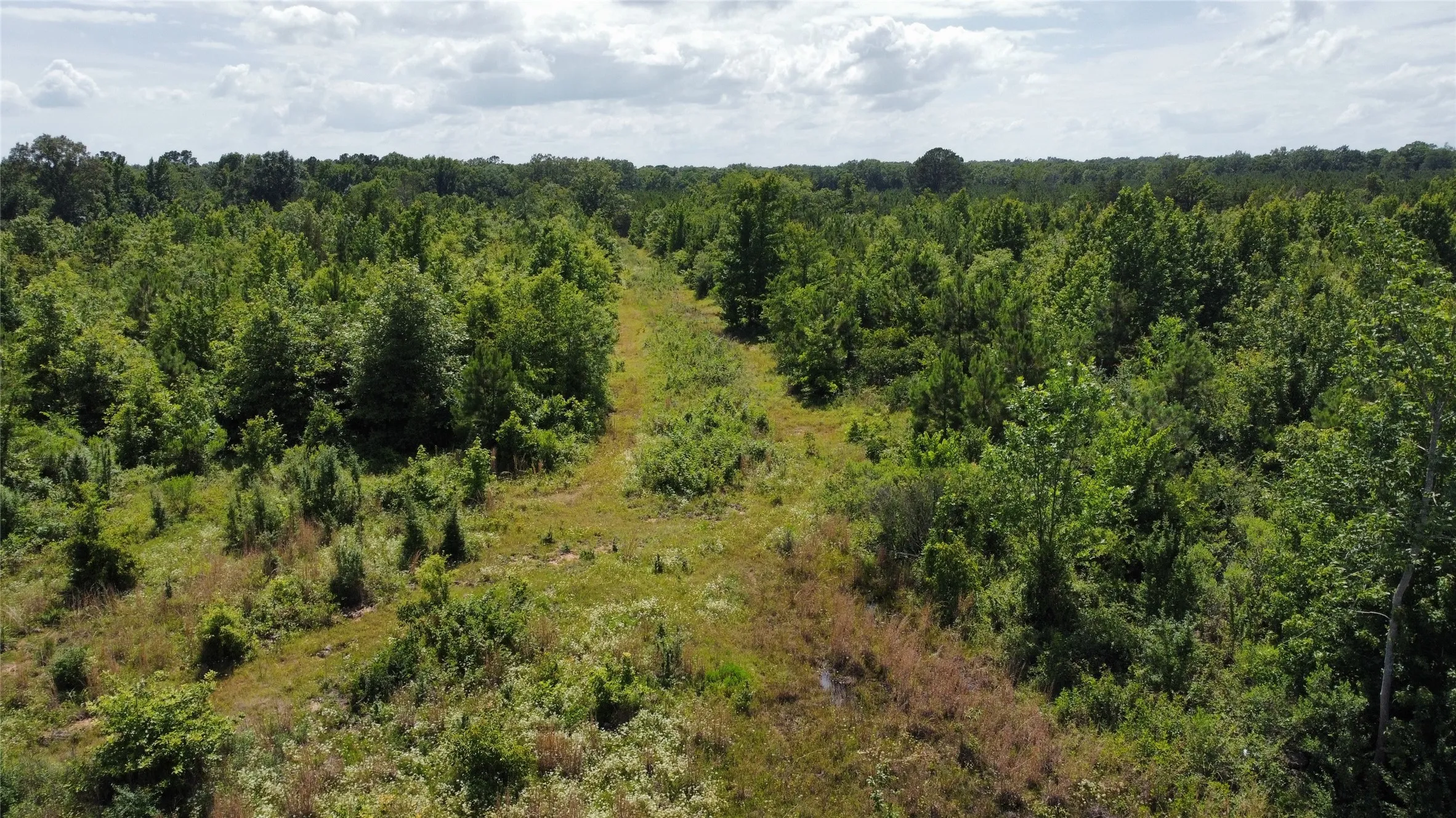 Ranch For Sale in Bowie County , TBD County Road 4507, De Kalb, Texas 75559, 0, 0, Garage spaces, 0 Sqft, built in 0, Price $165,000, mls#21301427, Real Estate Agent in De Kalb, Homes For Sale in Bowie county, Homes For Sale in De Kalb, Realtor in De Kalb Texas, Real Estate Brokerage Independent Realty Texas, Luminita Cordes Realtor