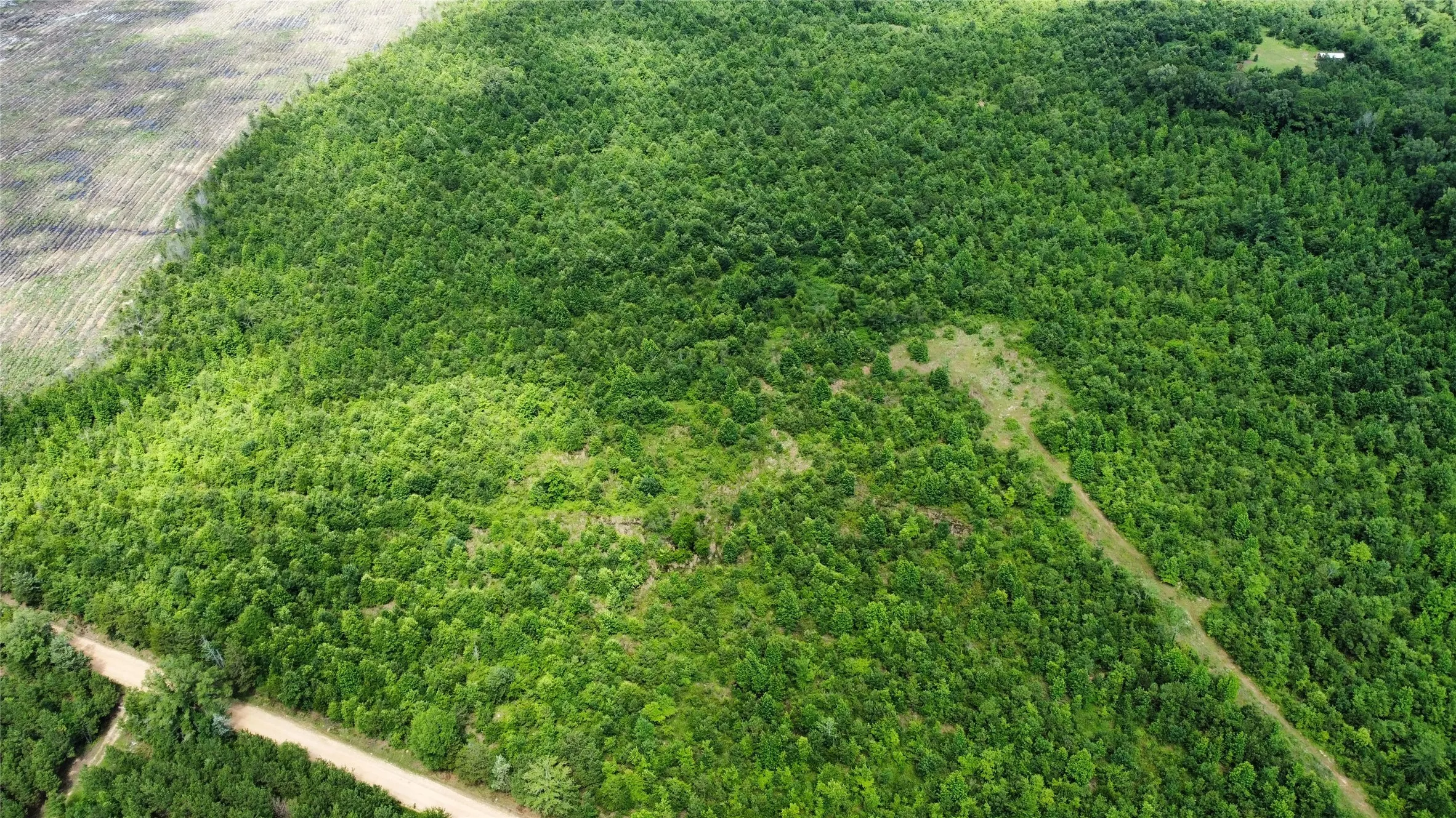 Ranch For Sale in Bowie County , TBD County Road 4507, De Kalb, Texas 75559, 0, 0, Garage spaces, 0 Sqft, built in 0, Price $165,000, mls#21301427, Real Estate Agent in De Kalb, Homes For Sale in Bowie county, Homes For Sale in De Kalb, Realtor in De Kalb Texas, Real Estate Brokerage Independent Realty Texas, Luminita Cordes Realtor