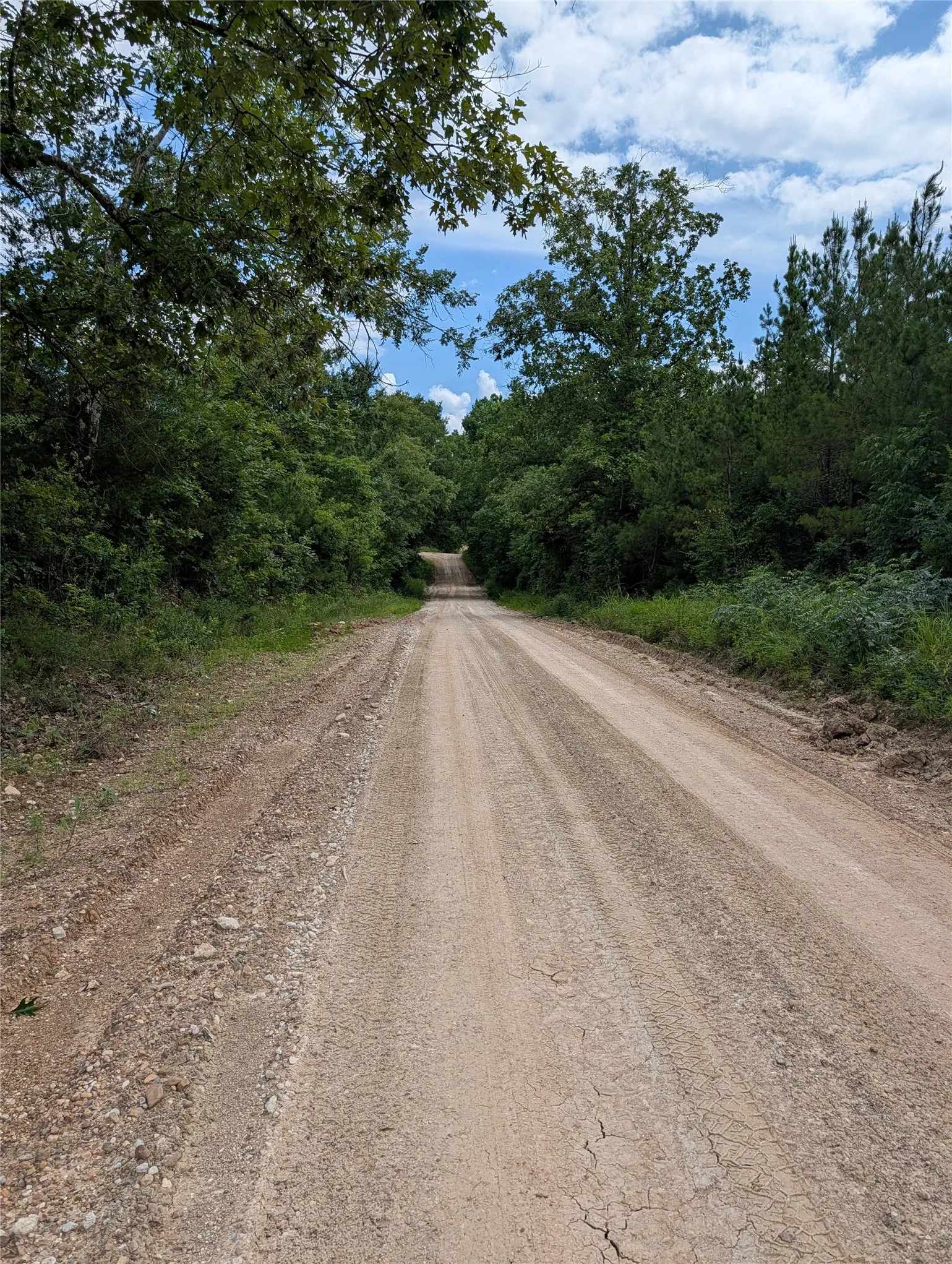 Ranch For Sale in Bowie County , TBD County Road 4507, De Kalb, Texas 75559, 0, 0, Garage spaces, 0 Sqft, built in 0, Price $165,000, mls#21301427, Real Estate Agent in De Kalb, Homes For Sale in Bowie county, Homes For Sale in De Kalb, Realtor in De Kalb Texas, Real Estate Brokerage Independent Realty Texas, Luminita Cordes Realtor