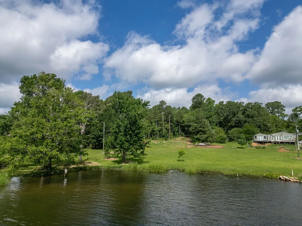 Improved Land For Sale in Morris County , TBD County Road 2232, Daingerfield, Texas 75638, 0, 0, Garage spaces, 0 Sqft, built in 0, mls#21301428, Real Estate Agent in Daingerfield, Homes For Sale in Morris county, Homes For Sale in Daingerfield, Realtor in Daingerfield Texas, Real Estate Brokerage Independent Realty Texas, Luminita Cordes Realtor
