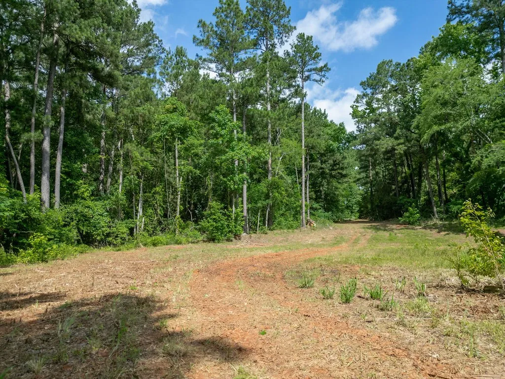 Improved Land For Sale in Morris County , TBD County Road 2232, Daingerfield, Texas 75638, 0, 0, Garage spaces, 0 Sqft, built in 0, mls#21301428, Real Estate Agent in Daingerfield, Homes For Sale in Morris county, Homes For Sale in Daingerfield, Realtor in Daingerfield Texas, Real Estate Brokerage Independent Realty Texas, Luminita Cordes Realtor