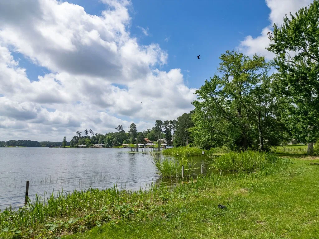 Improved Land For Sale in Morris County , TBD County Road 2232, Daingerfield, Texas 75638, 0, 0, Garage spaces, 0 Sqft, built in 0, mls#21301428, Real Estate Agent in Daingerfield, Homes For Sale in Morris county, Homes For Sale in Daingerfield, Realtor in Daingerfield Texas, Real Estate Brokerage Independent Realty Texas, Luminita Cordes Realtor
