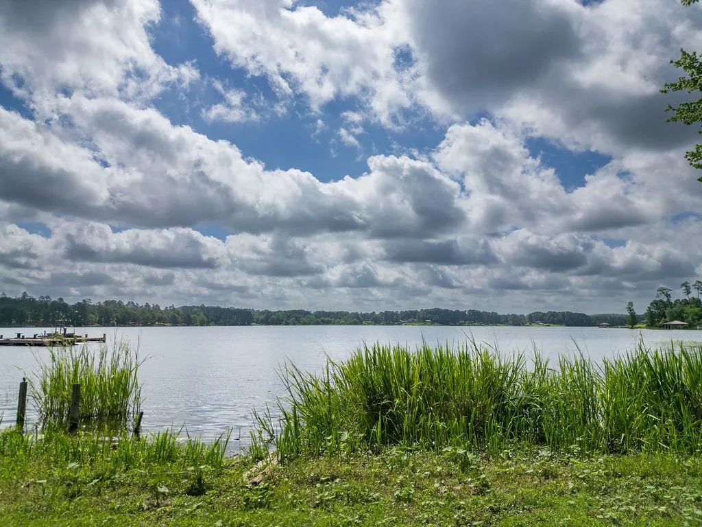 Improved Land For Sale in Morris County , TBD County Road 2232, Daingerfield, Texas 75638, 0, 0, Garage spaces, 0 Sqft, built in 0, mls#21301428, Real Estate Agent in Daingerfield, Homes For Sale in Morris county, Homes For Sale in Daingerfield, Realtor in Daingerfield Texas, Real Estate Brokerage Independent Realty Texas, Luminita Cordes Realtor