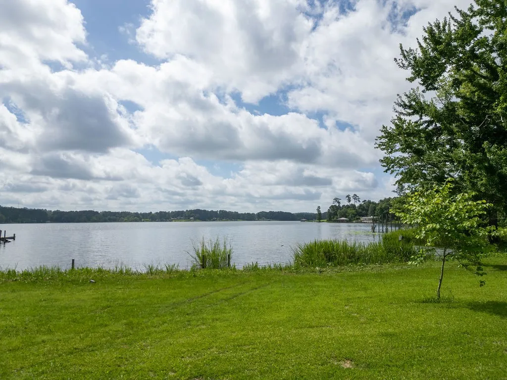 Improved Land For Sale in Morris County , TBD County Road 2232, Daingerfield, Texas 75638, 0, 0, Garage spaces, 0 Sqft, built in 0, mls#21301428, Real Estate Agent in Daingerfield, Homes For Sale in Morris county, Homes For Sale in Daingerfield, Realtor in Daingerfield Texas, Real Estate Brokerage Independent Realty Texas, Luminita Cordes Realtor