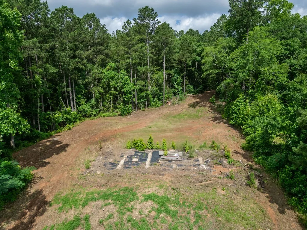 Improved Land For Sale in Morris County , TBD County Road 2232, Daingerfield, Texas 75638, 0, 0, Garage spaces, 0 Sqft, built in 0, mls#21301428, Real Estate Agent in Daingerfield, Homes For Sale in Morris county, Homes For Sale in Daingerfield, Realtor in Daingerfield Texas, Real Estate Brokerage Independent Realty Texas, Luminita Cordes Realtor