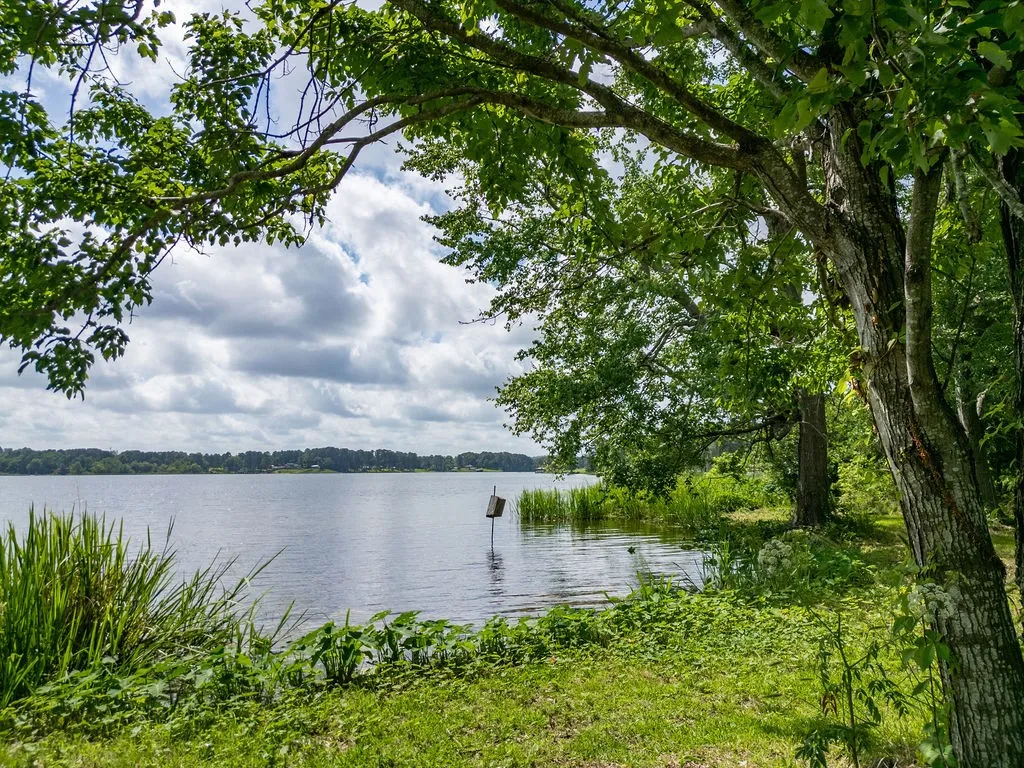 Improved Land For Sale in Morris County , TBD County Road 2232, Daingerfield, Texas 75638, 0, 0, Garage spaces, 0 Sqft, built in 0, mls#21301428, Real Estate Agent in Daingerfield, Homes For Sale in Morris county, Homes For Sale in Daingerfield, Realtor in Daingerfield Texas, Real Estate Brokerage Independent Realty Texas, Luminita Cordes Realtor