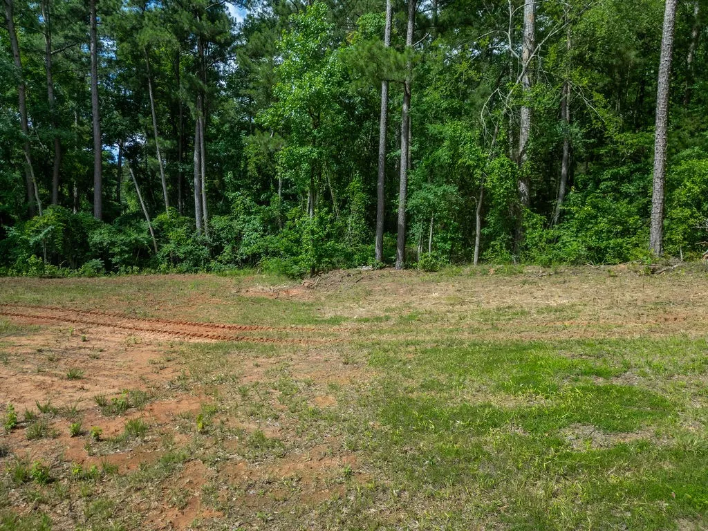 Improved Land For Sale in Morris County , TBD County Road 2232, Daingerfield, Texas 75638, 0, 0, Garage spaces, 0 Sqft, built in 0, mls#21301428, Real Estate Agent in Daingerfield, Homes For Sale in Morris county, Homes For Sale in Daingerfield, Realtor in Daingerfield Texas, Real Estate Brokerage Independent Realty Texas, Luminita Cordes Realtor