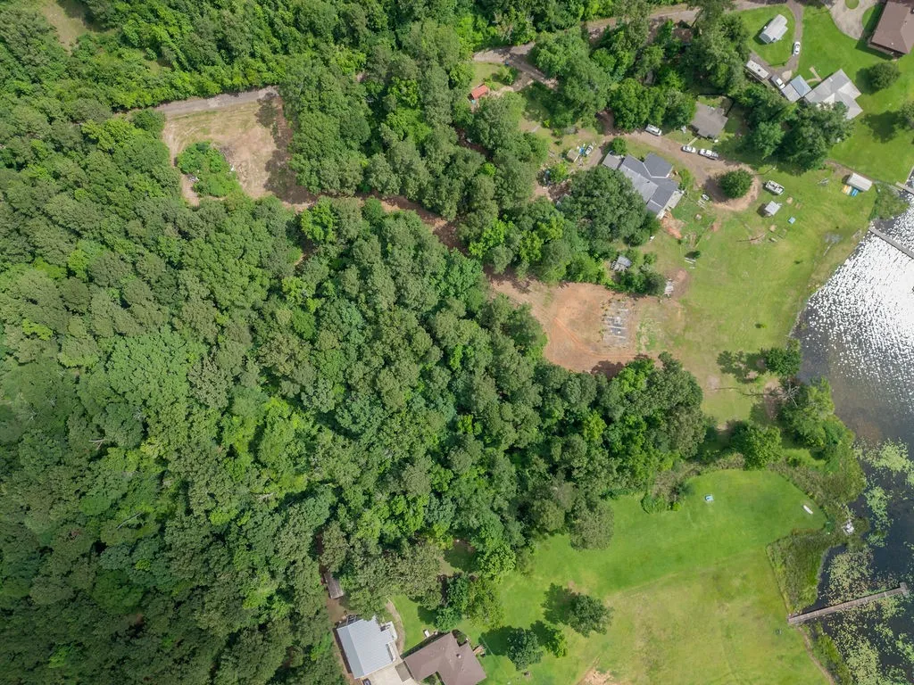 Improved Land For Sale in Morris County , TBD County Road 2232, Daingerfield, Texas 75638, 0, 0, Garage spaces, 0 Sqft, built in 0, mls#21301428, Real Estate Agent in Daingerfield, Homes For Sale in Morris county, Homes For Sale in Daingerfield, Realtor in Daingerfield Texas, Real Estate Brokerage Independent Realty Texas, Luminita Cordes Realtor