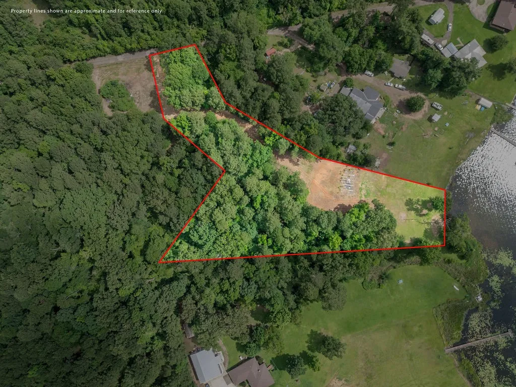 Improved Land For Sale in Morris County , TBD County Road 2232, Daingerfield, Texas 75638, 0, 0, Garage spaces, 0 Sqft, built in 0, mls#21301428, Real Estate Agent in Daingerfield, Homes For Sale in Morris county, Homes For Sale in Daingerfield, Realtor in Daingerfield Texas, Real Estate Brokerage Independent Realty Texas, Luminita Cordes Realtor