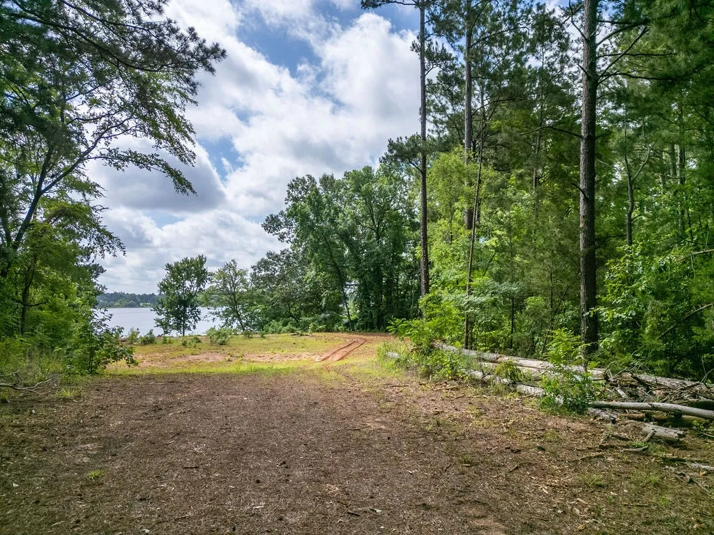 Improved Land For Sale in Morris County , TBD County Road 2232, Daingerfield, Texas 75638, 0, 0, Garage spaces, 0 Sqft, built in 0, mls#21301428, Real Estate Agent in Daingerfield, Homes For Sale in Morris county, Homes For Sale in Daingerfield, Realtor in Daingerfield Texas, Real Estate Brokerage Independent Realty Texas, Luminita Cordes Realtor