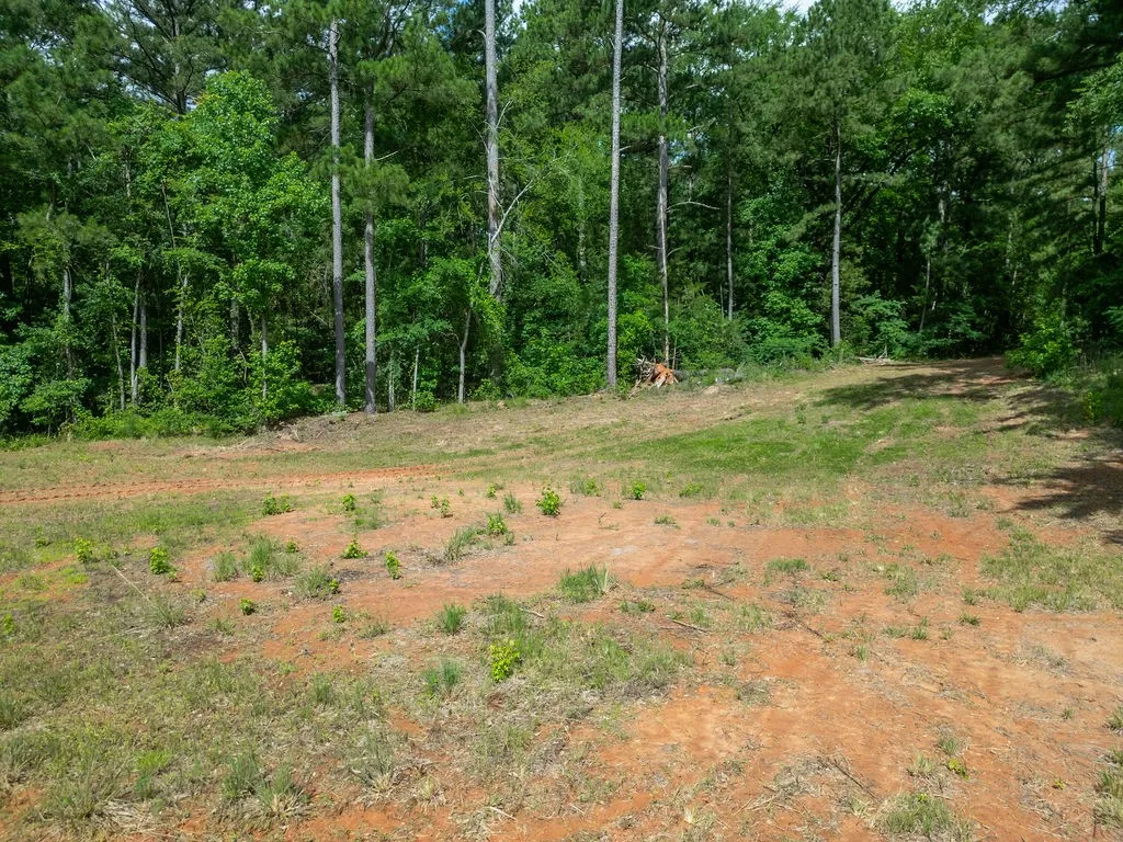 Improved Land For Sale in Morris County , TBD County Road 2232, Daingerfield, Texas 75638, 0, 0, Garage spaces, 0 Sqft, built in 0, mls#21301428, Real Estate Agent in Daingerfield, Homes For Sale in Morris county, Homes For Sale in Daingerfield, Realtor in Daingerfield Texas, Real Estate Brokerage Independent Realty Texas, Luminita Cordes Realtor