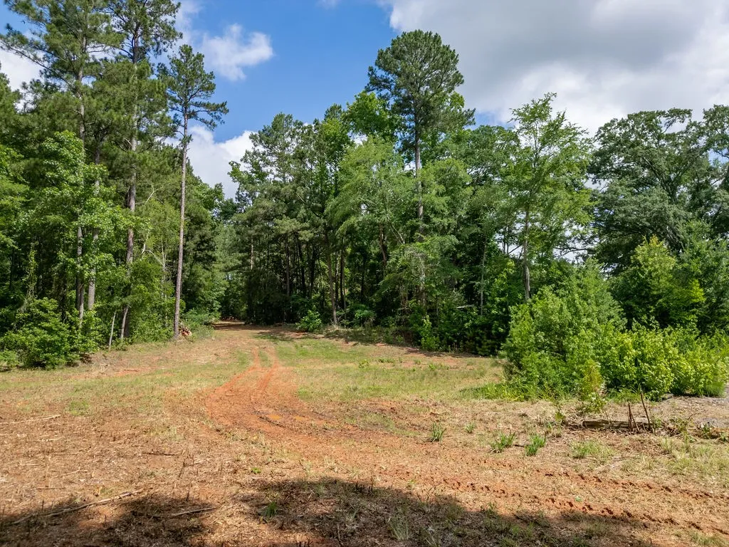 Improved Land For Sale in Morris County , TBD County Road 2232, Daingerfield, Texas 75638, 0, 0, Garage spaces, 0 Sqft, built in 0, mls#21301428, Real Estate Agent in Daingerfield, Homes For Sale in Morris county, Homes For Sale in Daingerfield, Realtor in Daingerfield Texas, Real Estate Brokerage Independent Realty Texas, Luminita Cordes Realtor