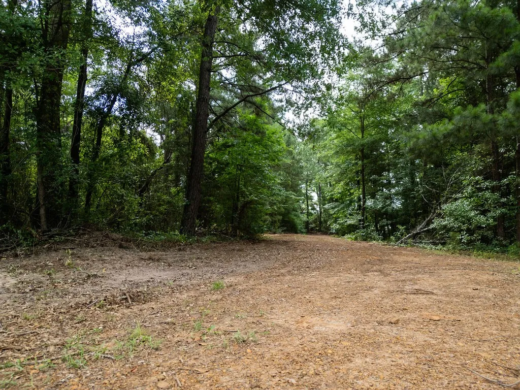 Improved Land For Sale in Morris County , TBD County Road 2232, Daingerfield, Texas 75638, 0, 0, Garage spaces, 0 Sqft, built in 0, mls#21301428, Real Estate Agent in Daingerfield, Homes For Sale in Morris county, Homes For Sale in Daingerfield, Realtor in Daingerfield Texas, Real Estate Brokerage Independent Realty Texas, Luminita Cordes Realtor