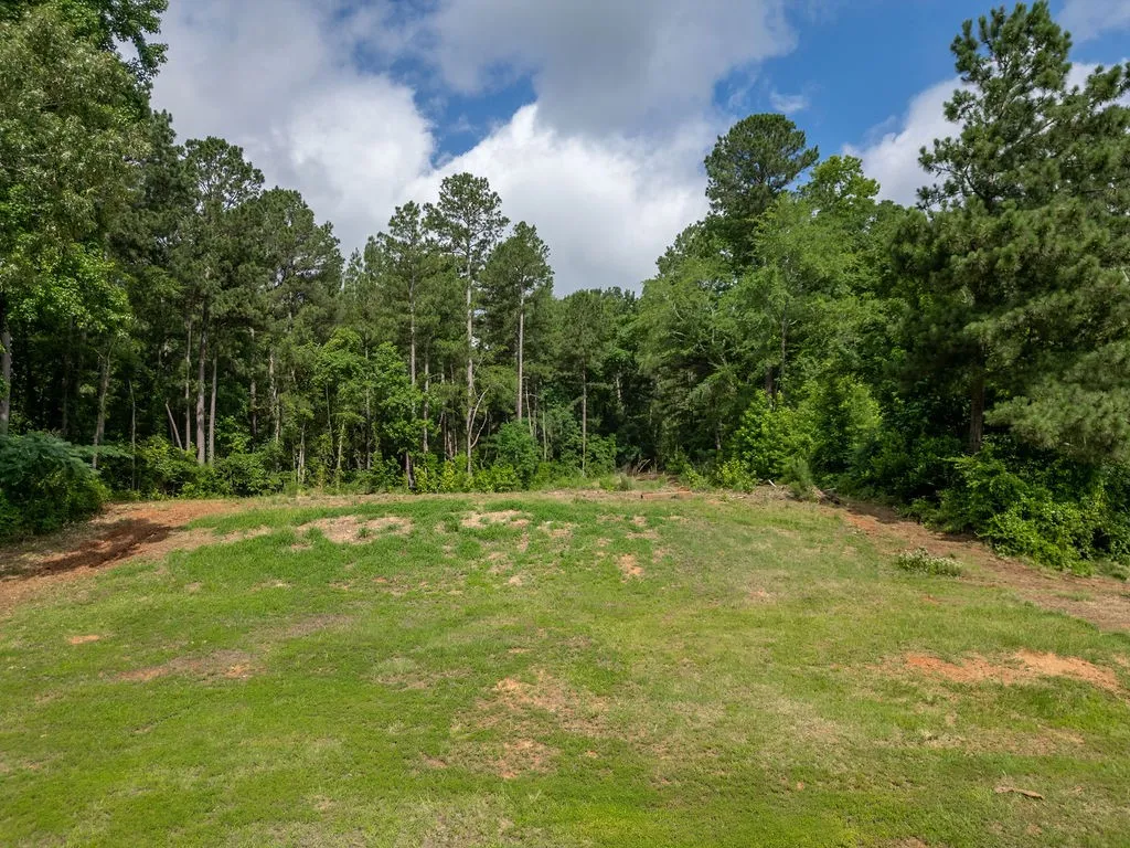 Improved Land For Sale in Morris County , TBD County Road 2232, Daingerfield, Texas 75638, 0, 0, Garage spaces, 0 Sqft, built in 0, mls#21301428, Real Estate Agent in Daingerfield, Homes For Sale in Morris county, Homes For Sale in Daingerfield, Realtor in Daingerfield Texas, Real Estate Brokerage Independent Realty Texas, Luminita Cordes Realtor