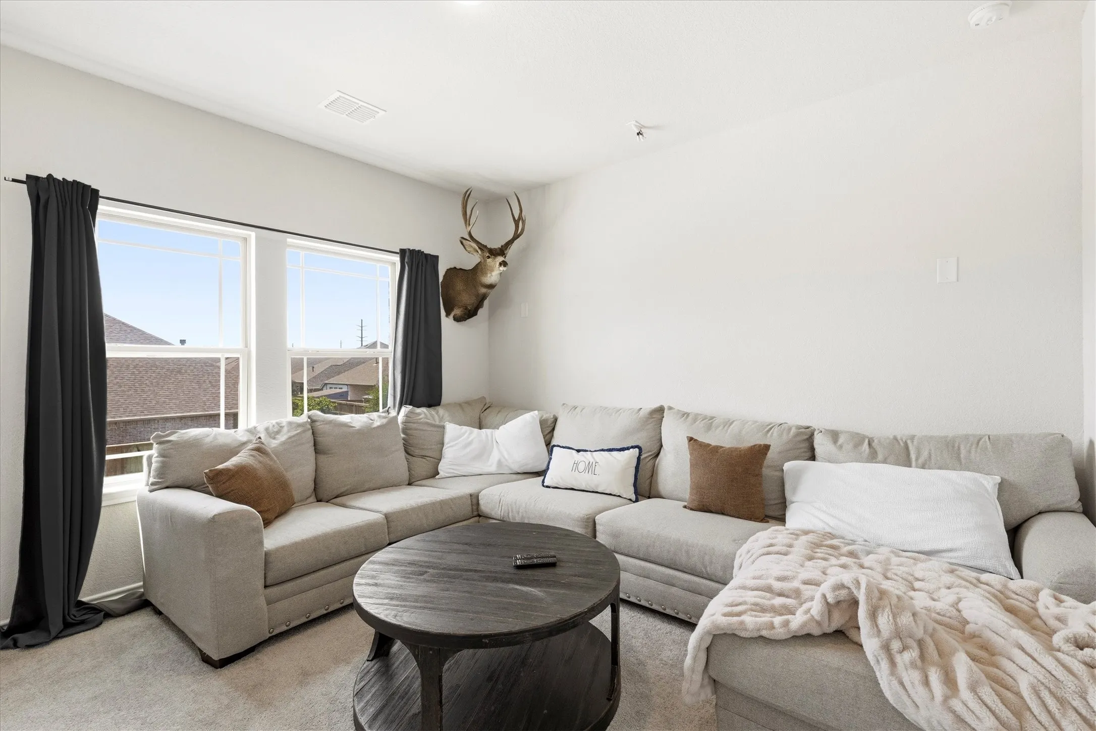 Carpeted living area featuring white walls, two double-hung windows, and a ceiling-mounted ventilation register
