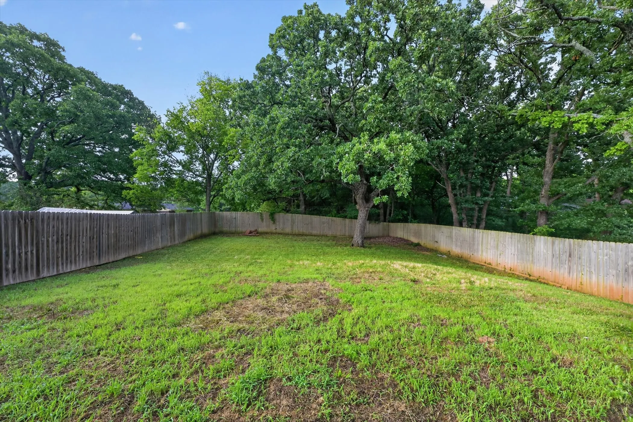 Yard