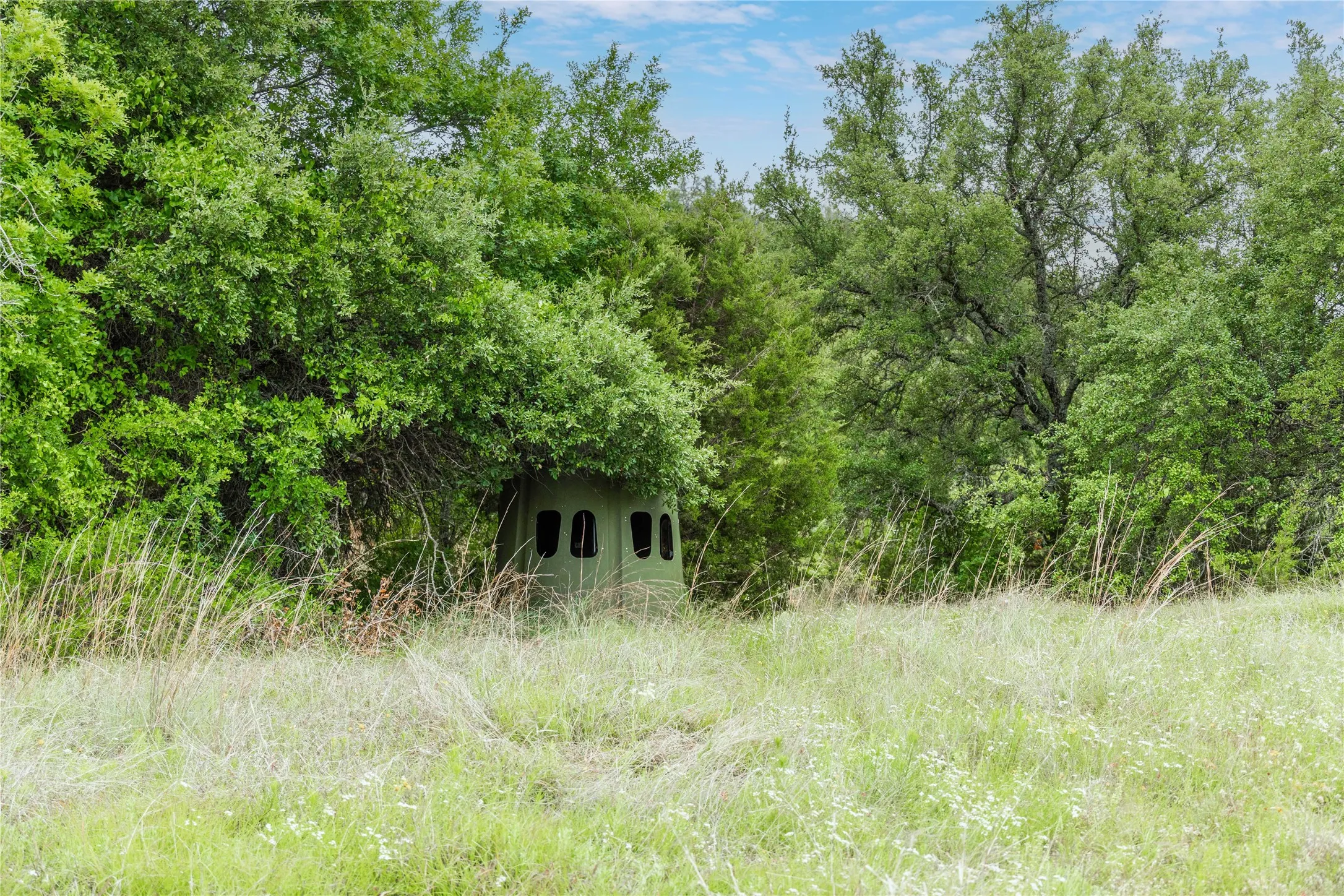Ranch For Sale in Brown County , TBD County Road 267, Early, Texas 76802, 0, 0, Garage spaces, 0 Sqft, built in 0, mls#21301218, Real Estate Agent in Early, Homes For Sale in Brown county, Homes For Sale in Early, Realtor in Early Texas, Real Estate Brokerage Independent Realty Texas, Luminita Cordes Realtor