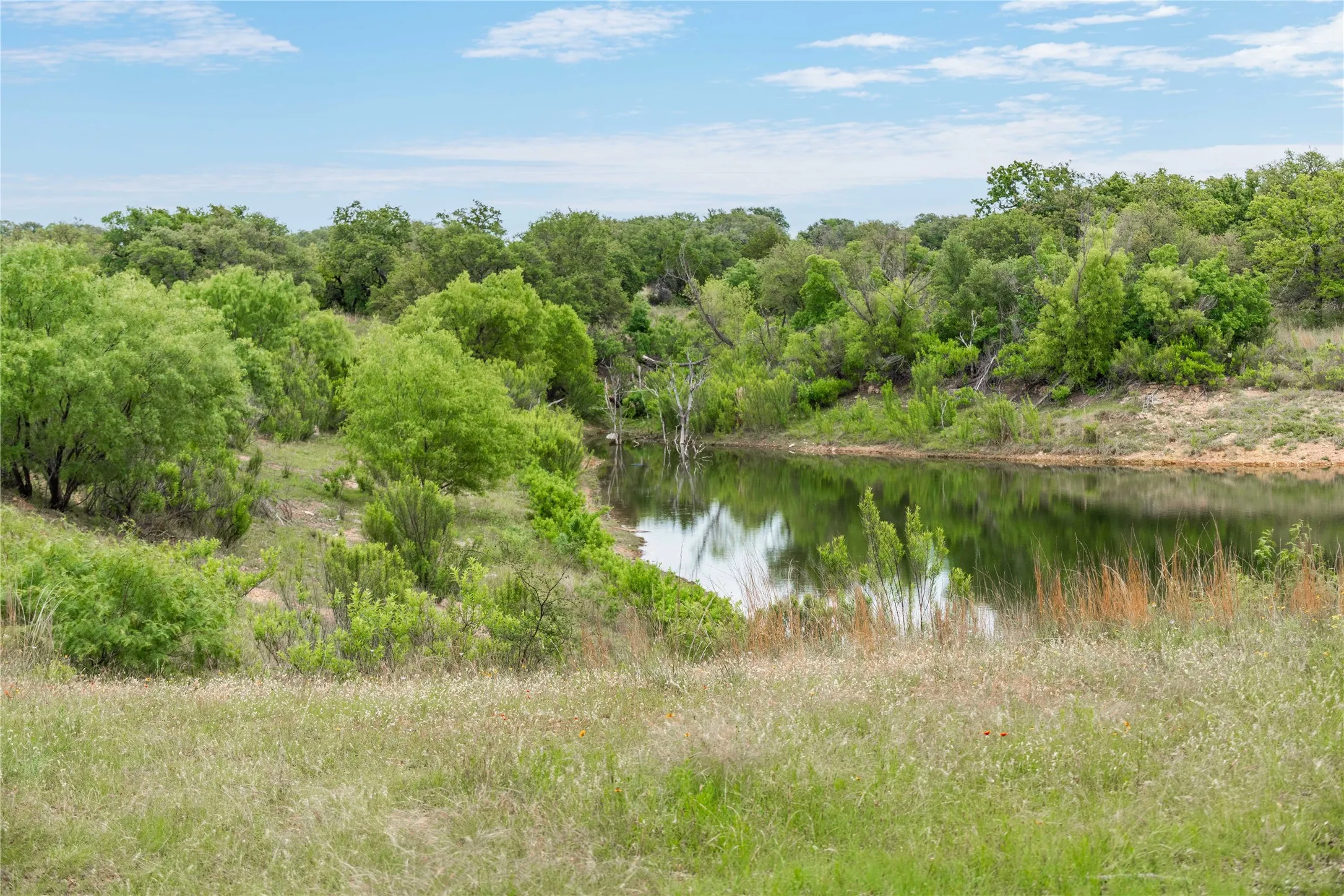 Ranch For Sale in Brown County , TBD County Road 267, Early, Texas 76802, 0, 0, Garage spaces, 0 Sqft, built in 0, mls#21301218, Real Estate Agent in Early, Homes For Sale in Brown county, Homes For Sale in Early, Realtor in Early Texas, Real Estate Brokerage Independent Realty Texas, Luminita Cordes Realtor