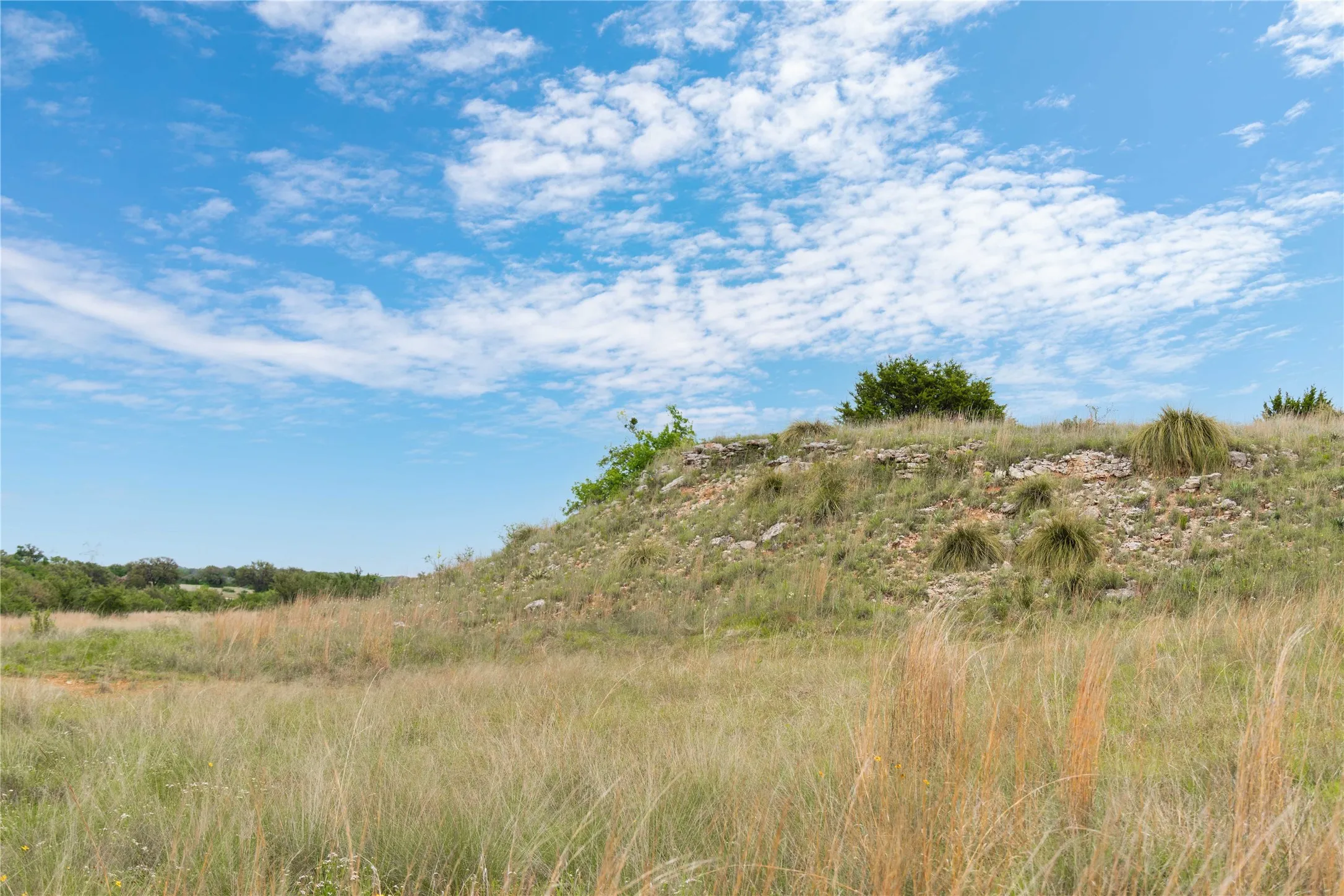 Ranch For Sale in Brown County , TBD County Road 267, Early, Texas 76802, 0, 0, Garage spaces, 0 Sqft, built in 0, mls#21301218, Real Estate Agent in Early, Homes For Sale in Brown county, Homes For Sale in Early, Realtor in Early Texas, Real Estate Brokerage Independent Realty Texas, Luminita Cordes Realtor