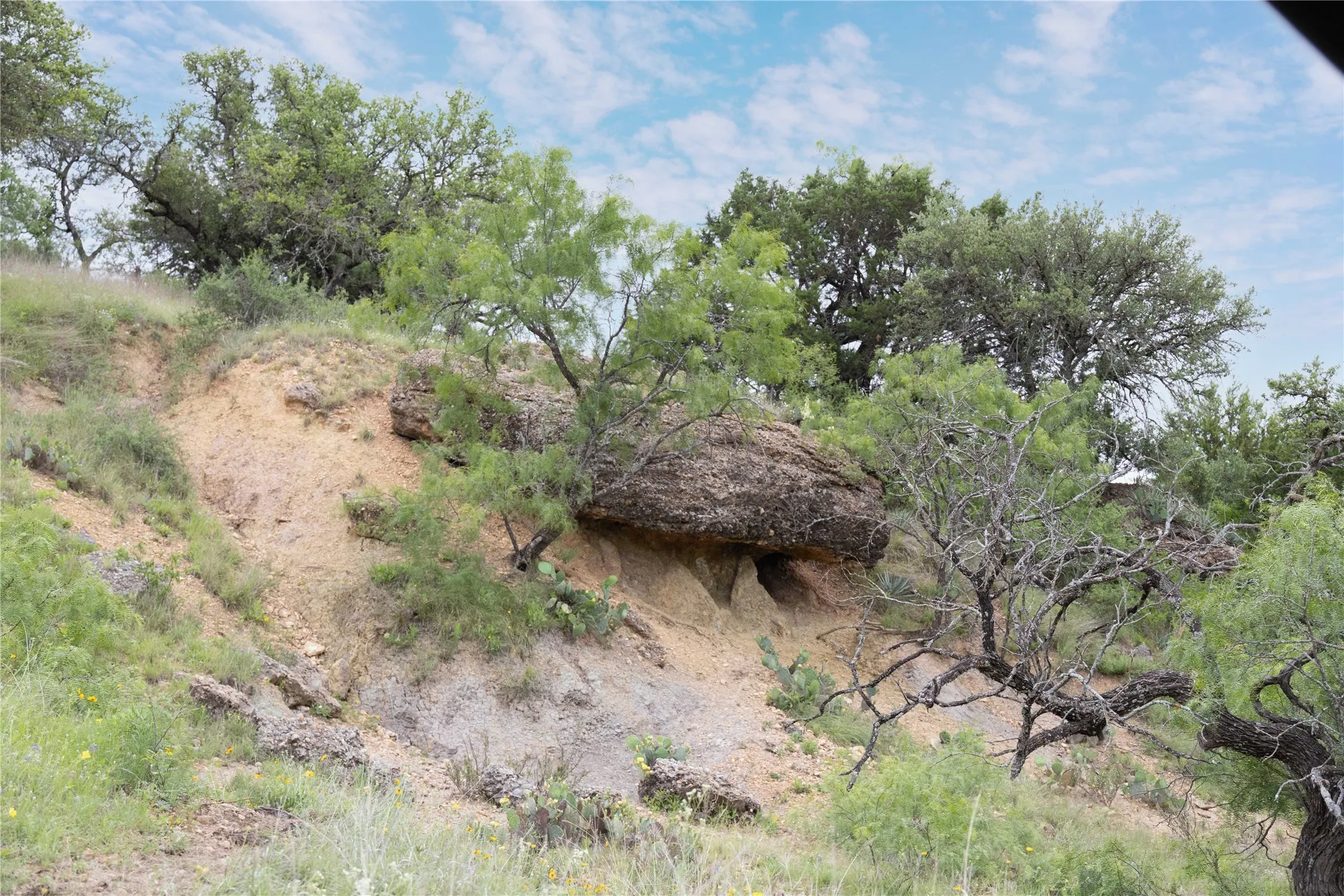 Ranch For Sale in Brown County , TBD County Road 267, Early, Texas 76802, 0, 0, Garage spaces, 0 Sqft, built in 0, mls#21301218, Real Estate Agent in Early, Homes For Sale in Brown county, Homes For Sale in Early, Realtor in Early Texas, Real Estate Brokerage Independent Realty Texas, Luminita Cordes Realtor