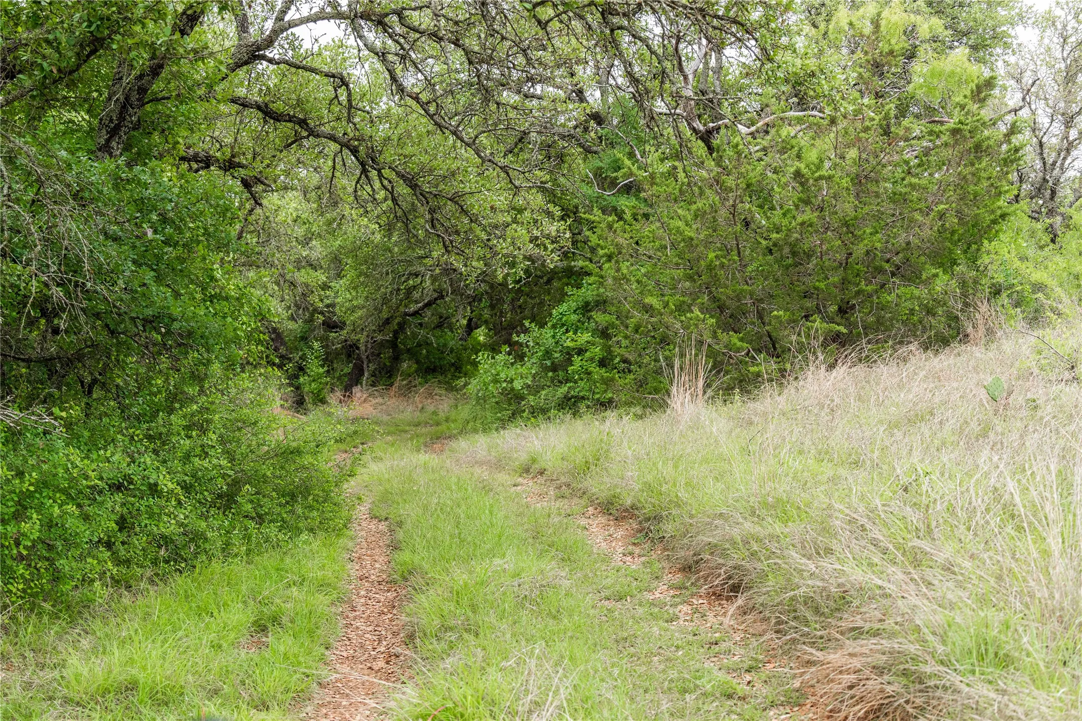 Ranch For Sale in Brown County , TBD County Road 267, Early, Texas 76802, 0, 0, Garage spaces, 0 Sqft, built in 0, mls#21301218, Real Estate Agent in Early, Homes For Sale in Brown county, Homes For Sale in Early, Realtor in Early Texas, Real Estate Brokerage Independent Realty Texas, Luminita Cordes Realtor