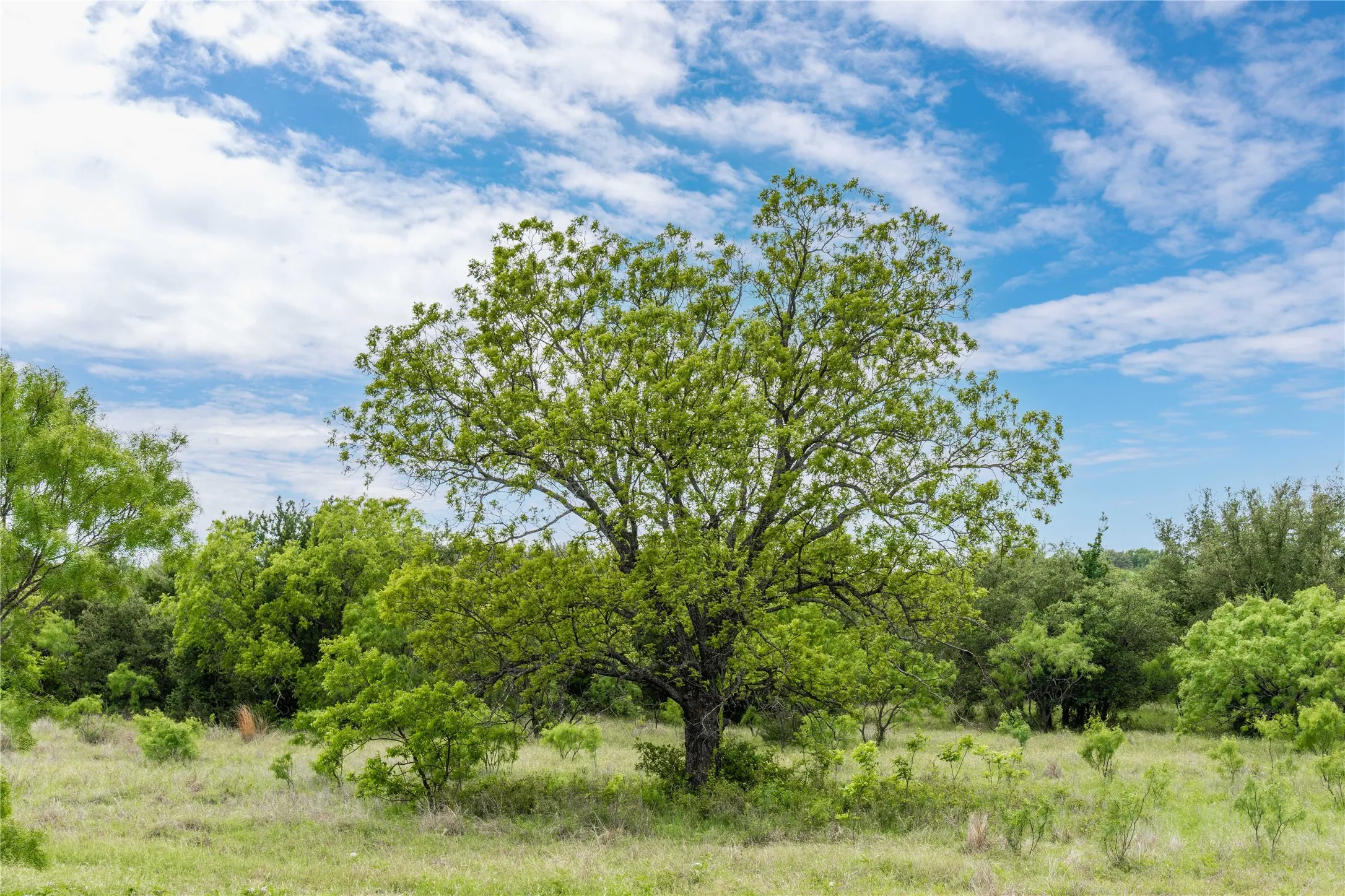 Ranch For Sale in Brown County , TBD County Road 267, Early, Texas 76802, 0, 0, Garage spaces, 0 Sqft, built in 0, mls#21301218, Real Estate Agent in Early, Homes For Sale in Brown county, Homes For Sale in Early, Realtor in Early Texas, Real Estate Brokerage Independent Realty Texas, Luminita Cordes Realtor