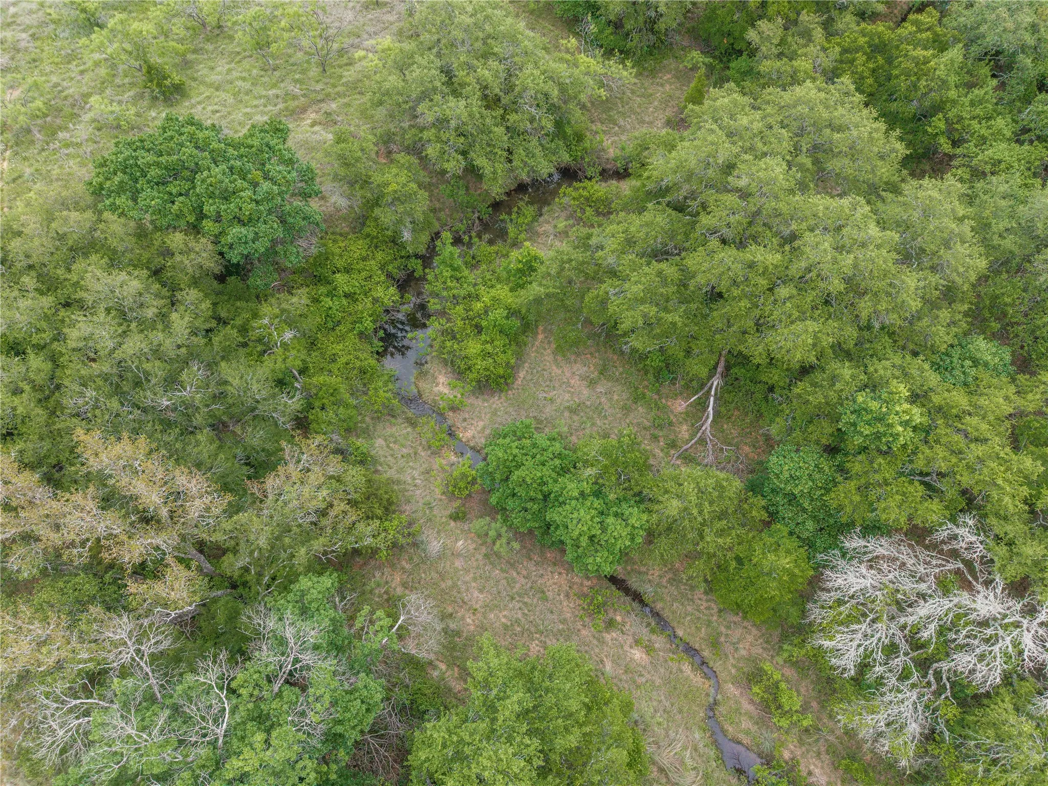 Ranch For Sale in Brown County , TBD County Road 267, Early, Texas 76802, 0, 0, Garage spaces, 0 Sqft, built in 0, mls#21301218, Real Estate Agent in Early, Homes For Sale in Brown county, Homes For Sale in Early, Realtor in Early Texas, Real Estate Brokerage Independent Realty Texas, Luminita Cordes Realtor