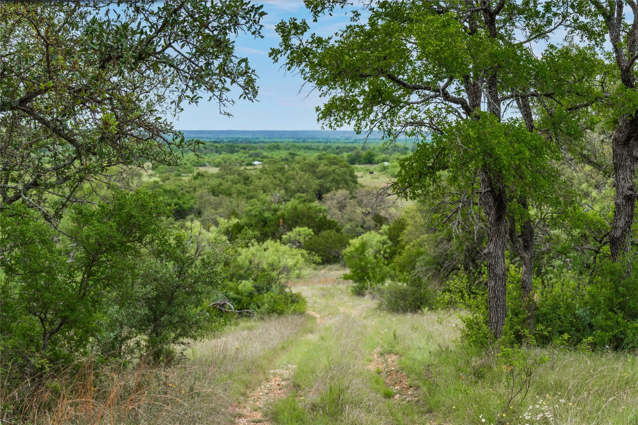 Ranch For Sale in Brown County , TBD County Road 267, Early, Texas 76802, 0, 0, Garage spaces, 0 Sqft, built in 0, mls#21301218, Real Estate Agent in Early, Homes For Sale in Brown county, Homes For Sale in Early, Realtor in Early Texas, Real Estate Brokerage Independent Realty Texas, Luminita Cordes Realtor