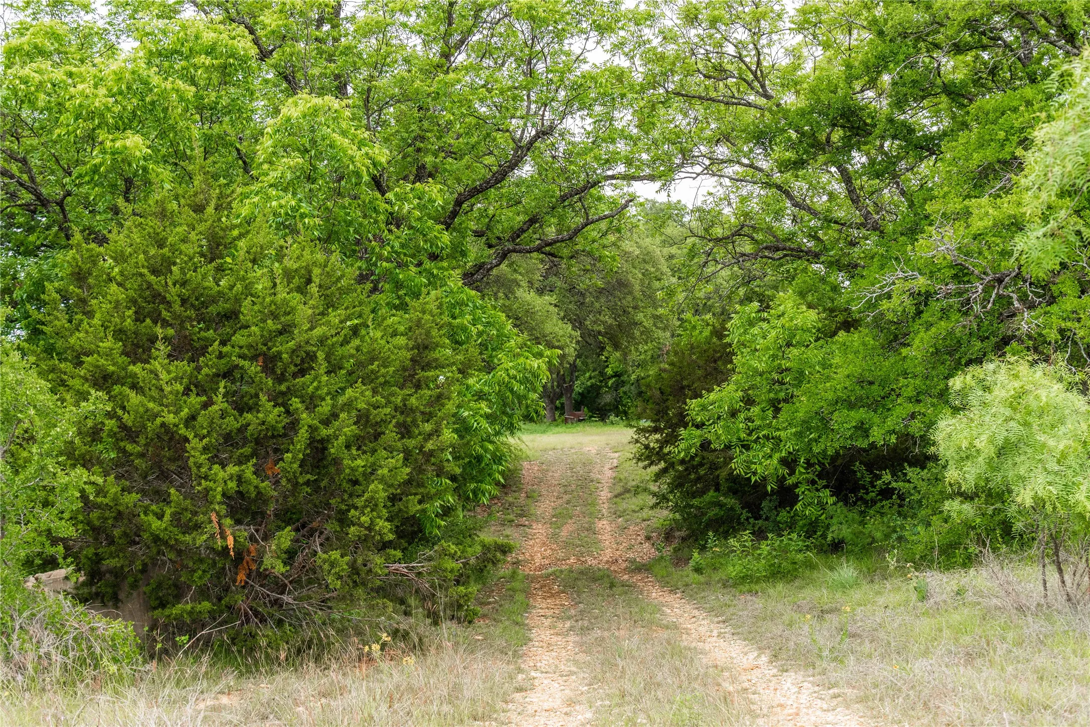 Ranch For Sale in Brown County , TBD County Road 267, Early, Texas 76802, 0, 0, Garage spaces, 0 Sqft, built in 0, mls#21301218, Real Estate Agent in Early, Homes For Sale in Brown county, Homes For Sale in Early, Realtor in Early Texas, Real Estate Brokerage Independent Realty Texas, Luminita Cordes Realtor