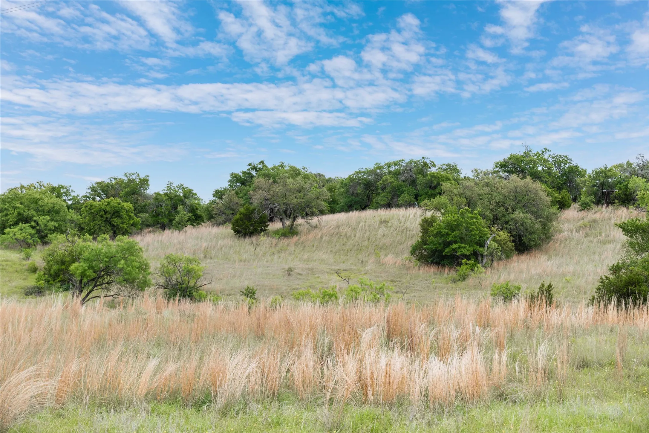 Ranch For Sale in Brown County , TBD County Road 267, Early, Texas 76802, 0, 0, Garage spaces, 0 Sqft, built in 0, mls#21301218, Real Estate Agent in Early, Homes For Sale in Brown county, Homes For Sale in Early, Realtor in Early Texas, Real Estate Brokerage Independent Realty Texas, Luminita Cordes Realtor