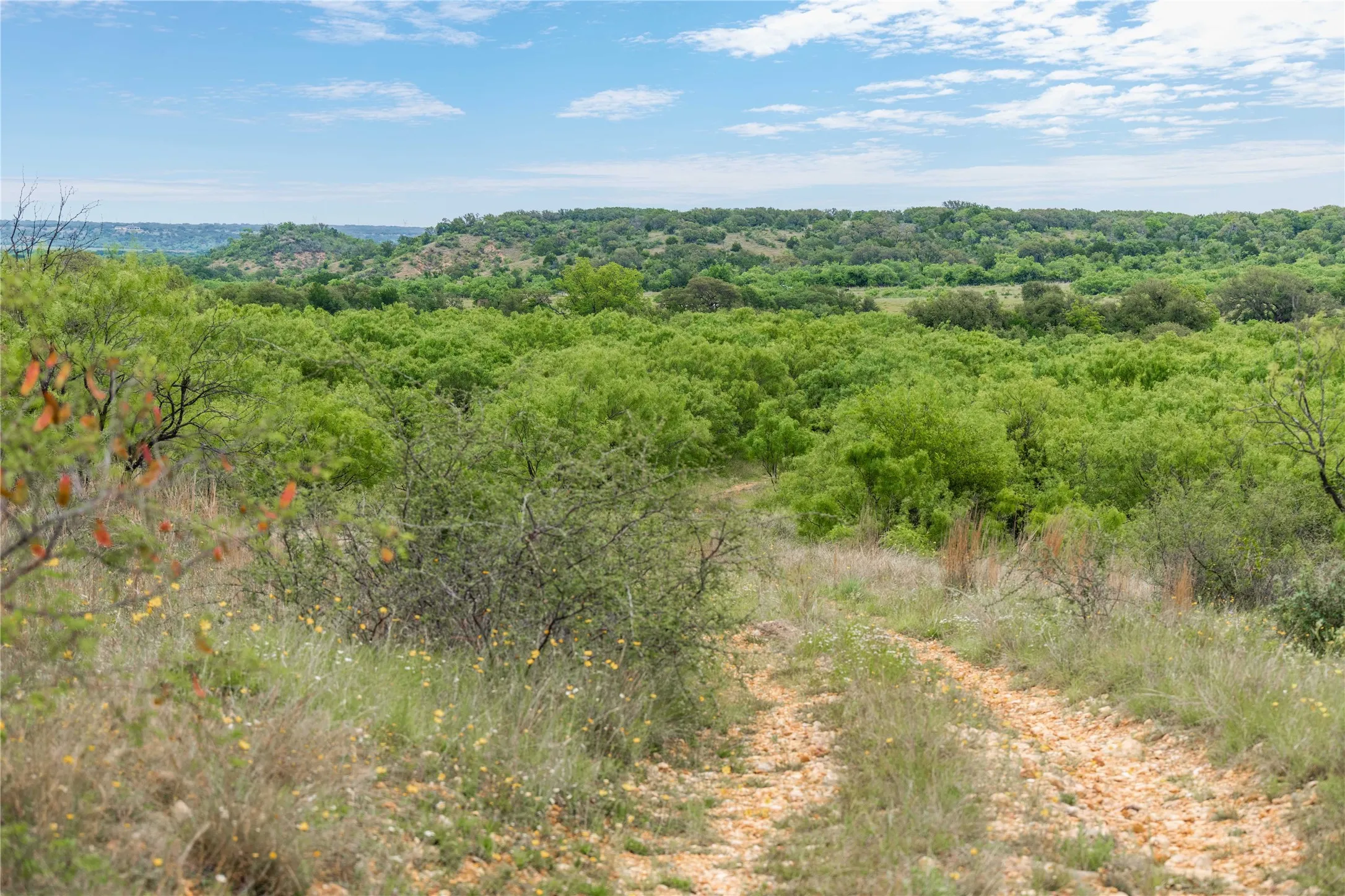 Ranch For Sale in Brown County , TBD County Road 267, Early, Texas 76802, 0, 0, Garage spaces, 0 Sqft, built in 0, mls#21301218, Real Estate Agent in Early, Homes For Sale in Brown county, Homes For Sale in Early, Realtor in Early Texas, Real Estate Brokerage Independent Realty Texas, Luminita Cordes Realtor