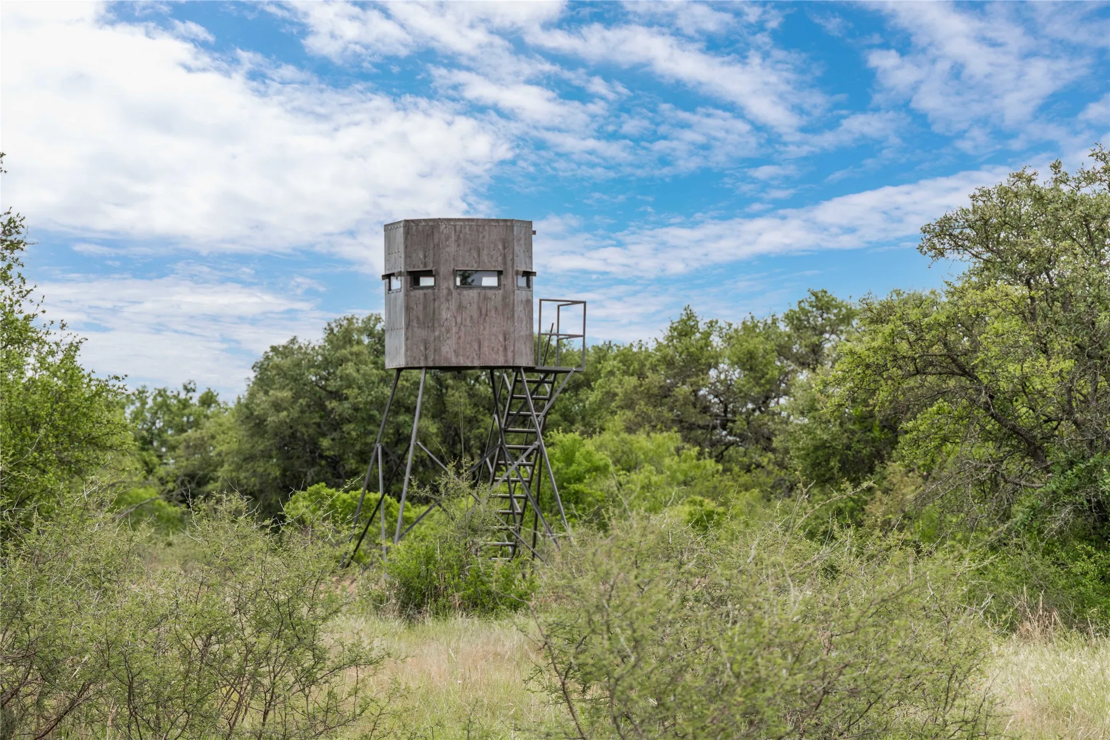 Ranch For Sale in Brown County , TBD County Road 267, Early, Texas 76802, 0, 0, Garage spaces, 0 Sqft, built in 0, mls#21301218, Real Estate Agent in Early, Homes For Sale in Brown county, Homes For Sale in Early, Realtor in Early Texas, Real Estate Brokerage Independent Realty Texas, Luminita Cordes Realtor