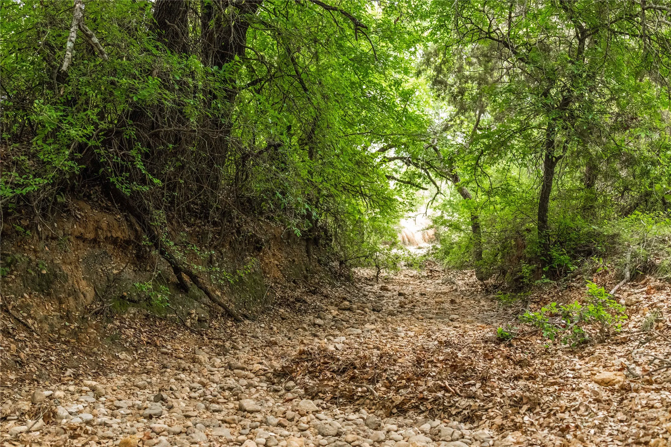 Ranch For Sale in Brown County , TBD County Road 267, Early, Texas 76802, 0, 0, Garage spaces, 0 Sqft, built in 0, mls#21301218, Real Estate Agent in Early, Homes For Sale in Brown county, Homes For Sale in Early, Realtor in Early Texas, Real Estate Brokerage Independent Realty Texas, Luminita Cordes Realtor