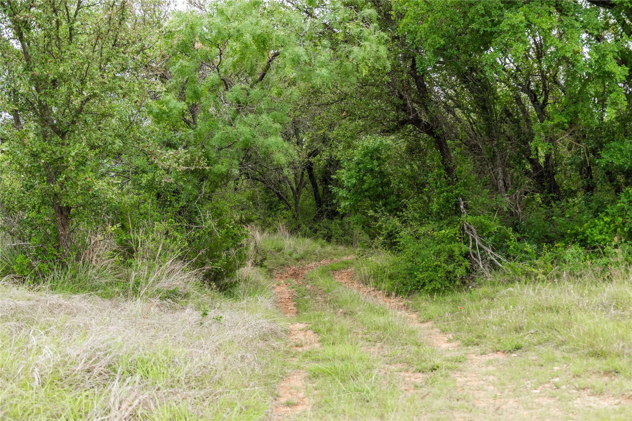 Ranch For Sale in Brown County , TBD County Road 267, Early, Texas 76802, 0, 0, Garage spaces, 0 Sqft, built in 0, mls#21301218, Real Estate Agent in Early, Homes For Sale in Brown county, Homes For Sale in Early, Realtor in Early Texas, Real Estate Brokerage Independent Realty Texas, Luminita Cordes Realtor