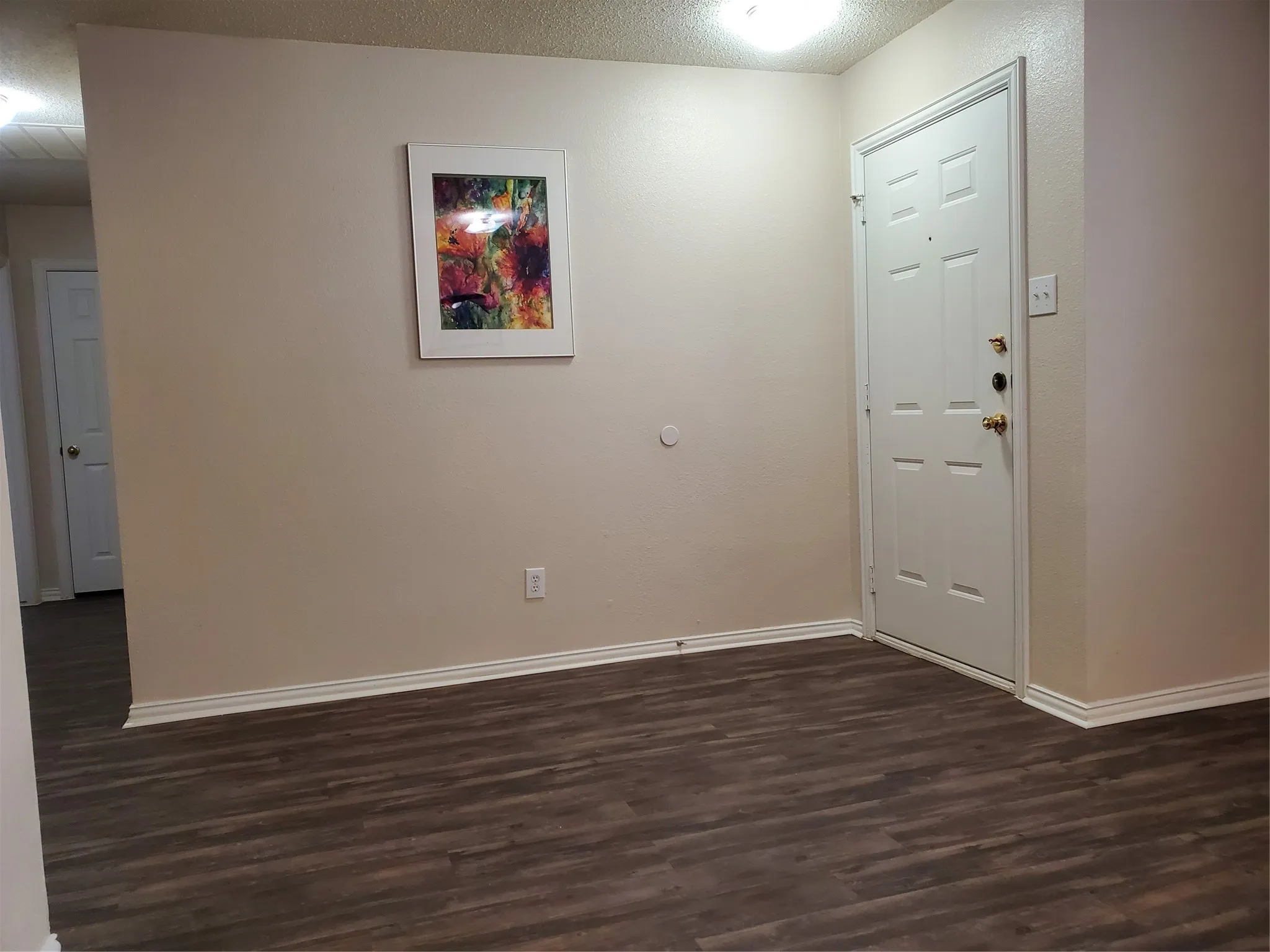 Entry view (from dining room).