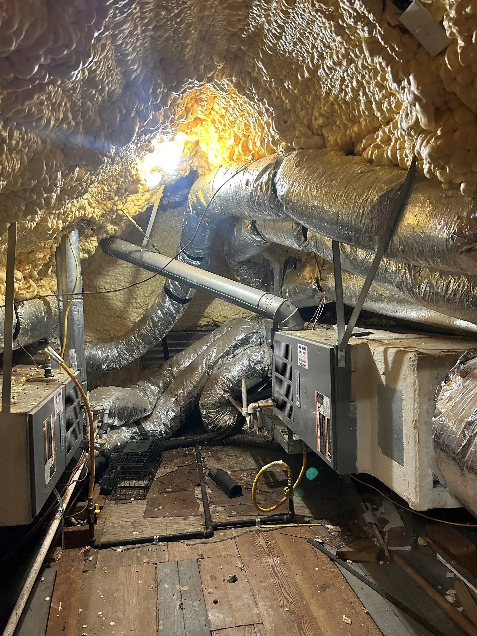 spray foamed attic