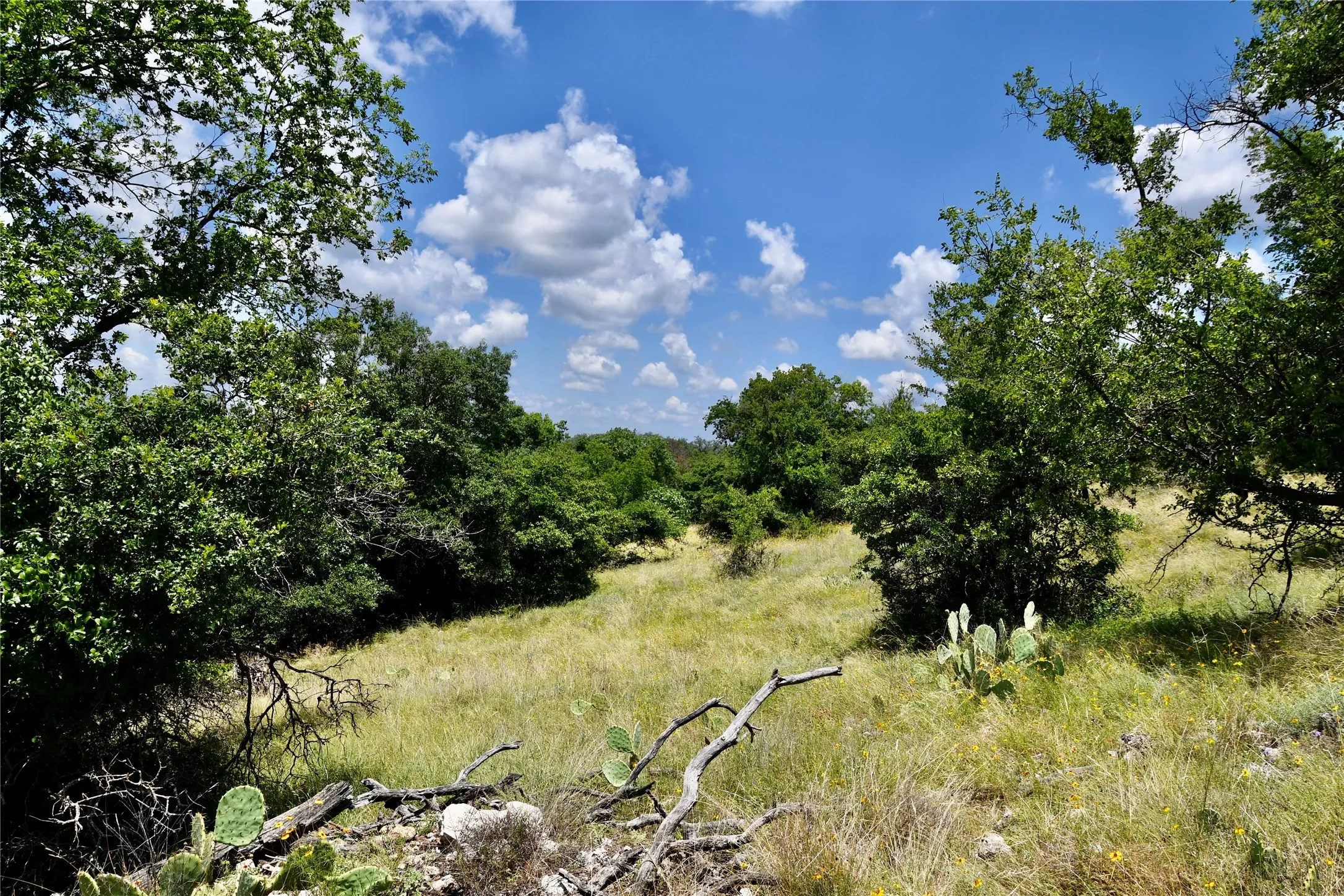 Farm For Sale in Brown County , 16967 CR 290, Zephyr, Texas 76890, 3 Bedroom, 3 Bathroom, Garage spaces, 2,789 Sqft, built in 2013, mls#21301576, Real Estate Agent in Zephyr, Homes For Sale in Brown county, Homes For Sale in Zephyr, Realtor in Zephyr Texas, Real Estate Brokerage Independent Realty Texas, Luminita Cordes Realtor