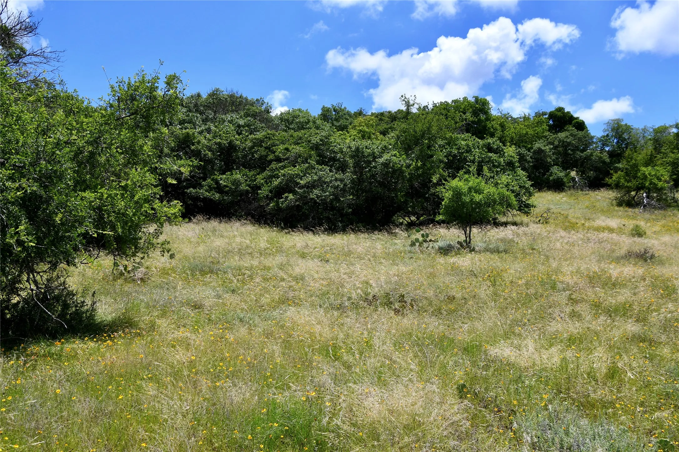 Farm For Sale in Brown County , 16967 CR 290, Zephyr, Texas 76890, 3 Bedroom, 3 Bathroom, Garage spaces, 2,789 Sqft, built in 2013, mls#21301576, Real Estate Agent in Zephyr, Homes For Sale in Brown county, Homes For Sale in Zephyr, Realtor in Zephyr Texas, Real Estate Brokerage Independent Realty Texas, Luminita Cordes Realtor