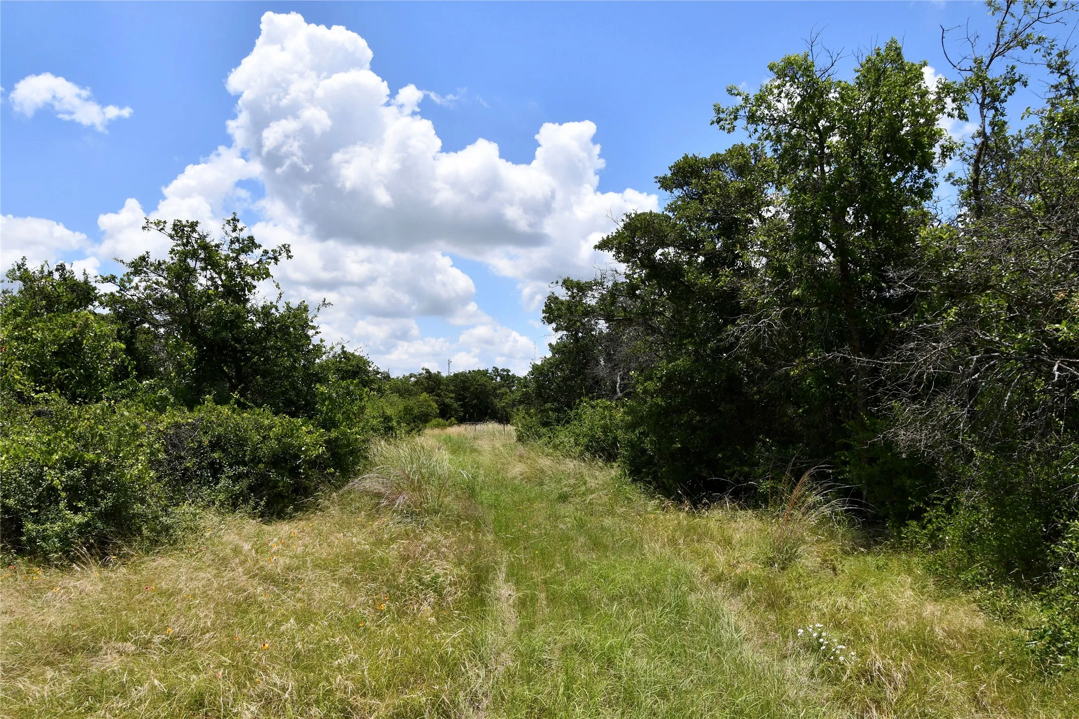 Farm For Sale in Brown County , 16967 CR 290, Zephyr, Texas 76890, 3 Bedroom, 3 Bathroom, Garage spaces, 2,789 Sqft, built in 2013, mls#21301576, Real Estate Agent in Zephyr, Homes For Sale in Brown county, Homes For Sale in Zephyr, Realtor in Zephyr Texas, Real Estate Brokerage Independent Realty Texas, Luminita Cordes Realtor