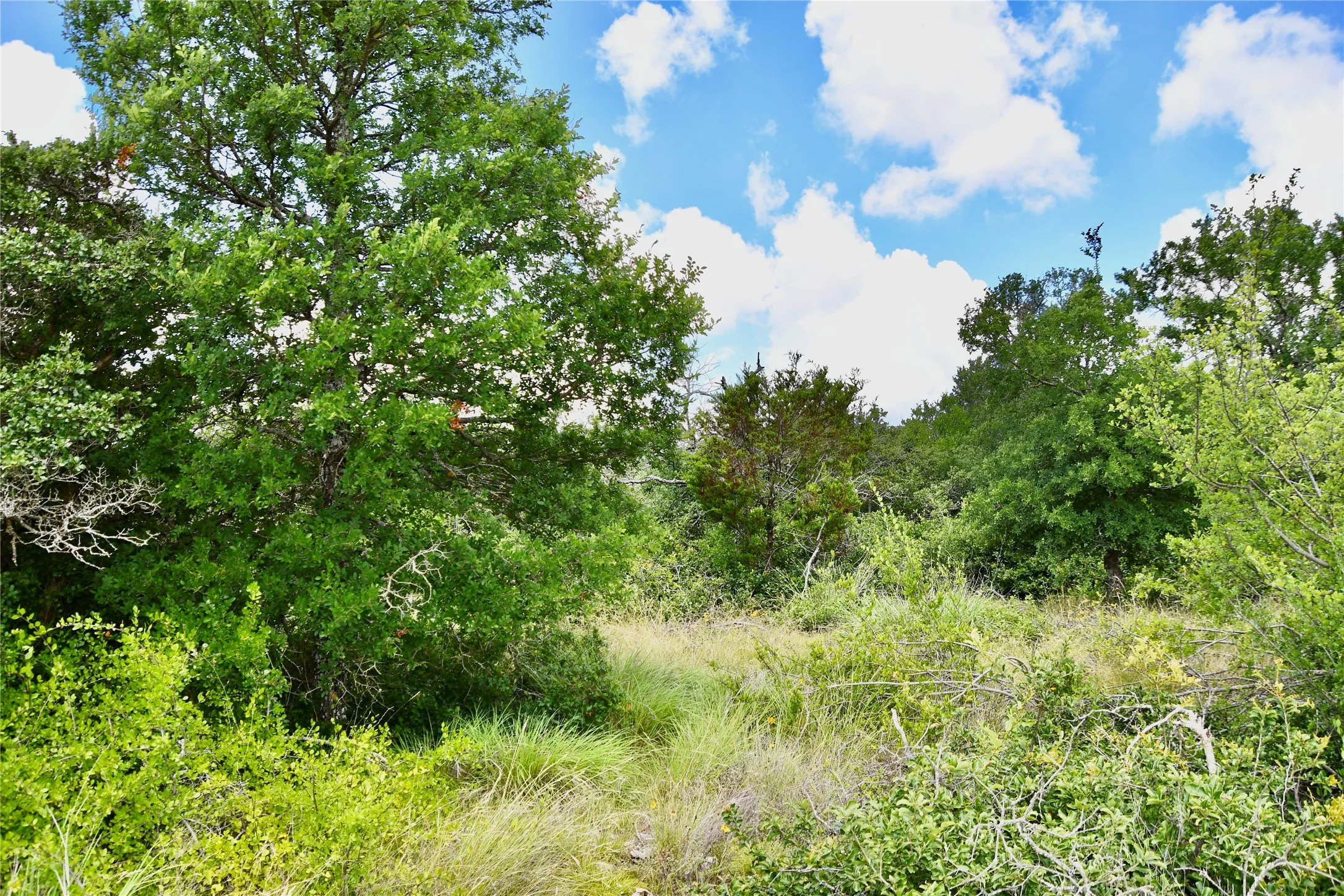 Farm For Sale in Brown County , 16967 CR 290, Zephyr, Texas 76890, 3 Bedroom, 3 Bathroom, Garage spaces, 2,789 Sqft, built in 2013, mls#21301576, Real Estate Agent in Zephyr, Homes For Sale in Brown county, Homes For Sale in Zephyr, Realtor in Zephyr Texas, Real Estate Brokerage Independent Realty Texas, Luminita Cordes Realtor
