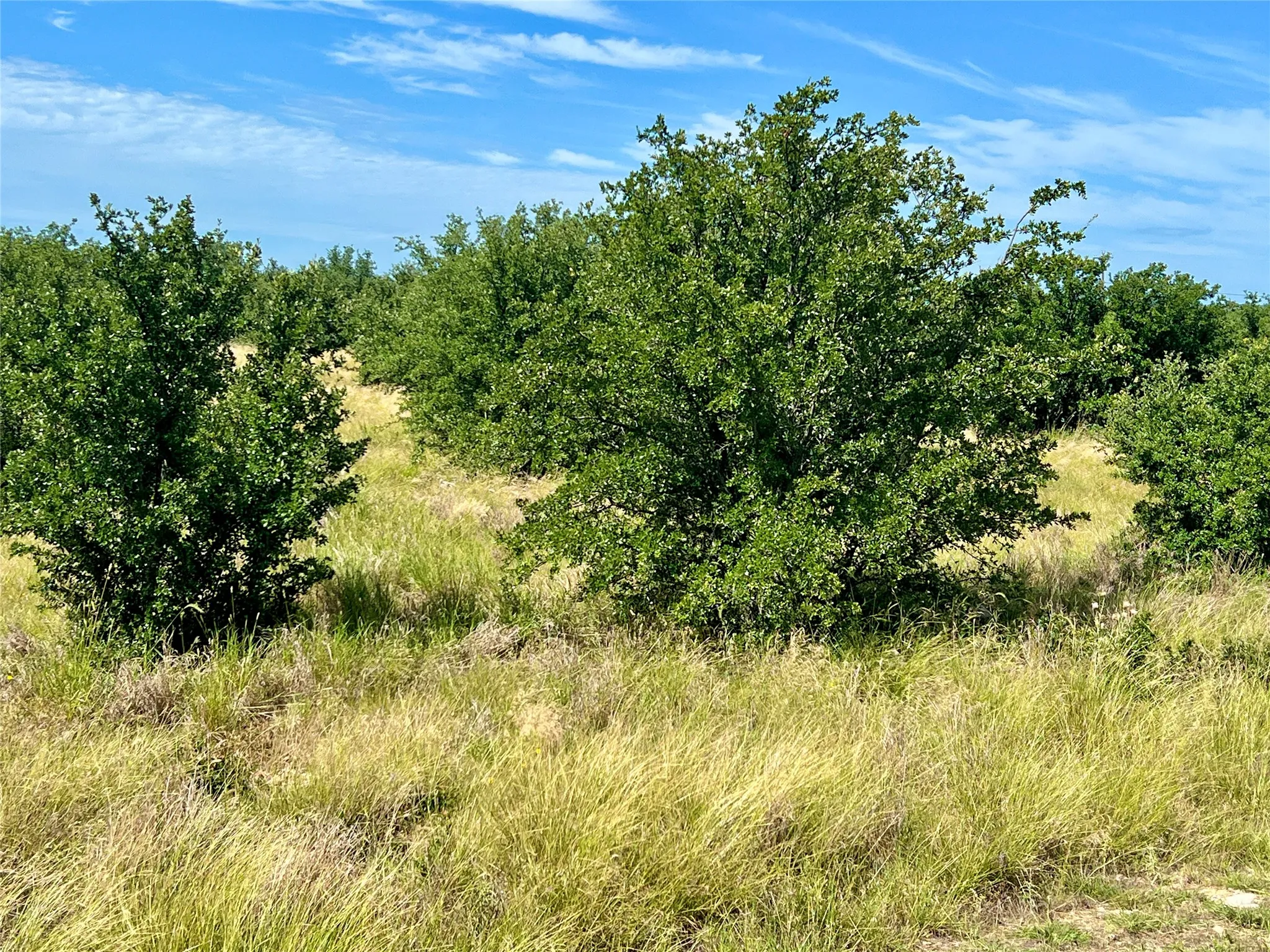 Unimproved Land For Sale in Palo Pinto County , 1174 Rawhide Ridge, Graford, Texas 76449, 0, 0, Garage spaces, 0 Sqft, built in 0, Price $69,000, mls#21294491, Real Estate Agent in Graford, Homes For Sale in Palo Pinto county, Homes For Sale in Graford, Realtor in Graford Texas, Real Estate Brokerage Independent Realty Texas, Luminita Cordes Realtor