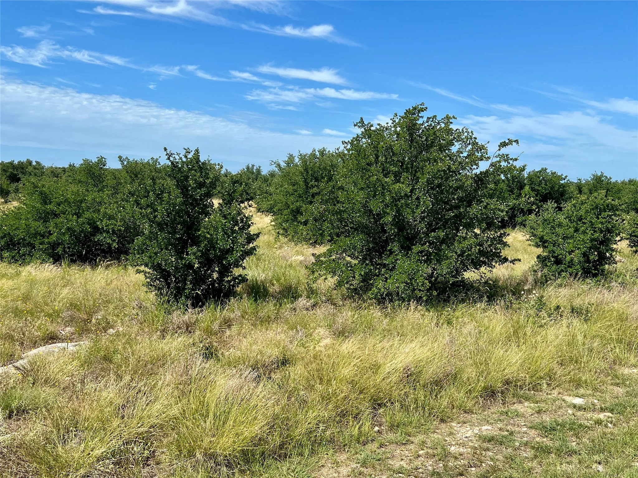 Unimproved Land For Sale in Palo Pinto County , 1180 Rawhide Ridge, Graford, Texas 76449, 0, 0, Garage spaces, 0 Sqft, built in 0, Price $69,000, mls#21301623, Real Estate Agent in Graford, Homes For Sale in Palo Pinto county, Homes For Sale in Graford, Realtor in Graford Texas, Real Estate Brokerage Independent Realty Texas, Luminita Cordes Realtor
